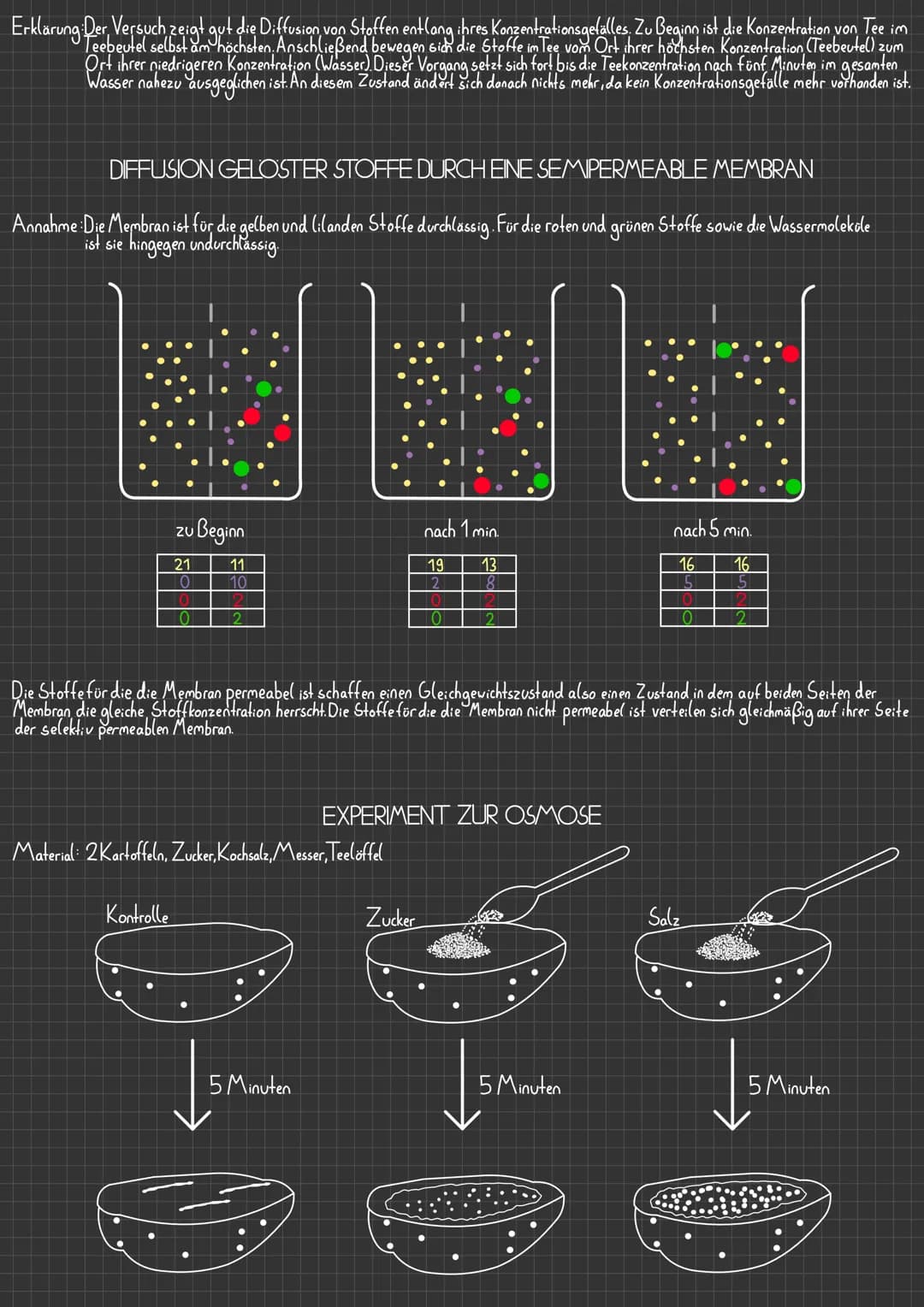 # DIFFUSION UND OSMOSE

Als Diffusion wird die spontan erfolgende Ausbreitung eines Stoffes
bis Erreichen einer homogenen (gleichmäßigen) Ve