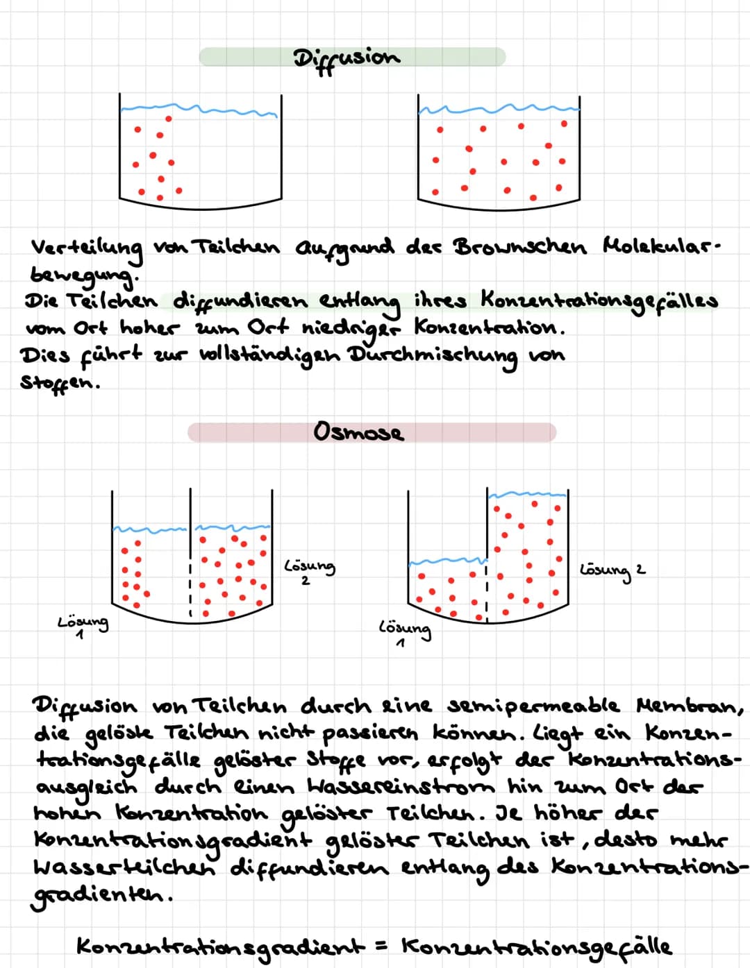 # Diffusion

Verteilung von Teilchen aufgrund des Brownschen Molekular-
bewegung.
Die Teilchen diffundieren entlang ihres Konzentrationsgefä