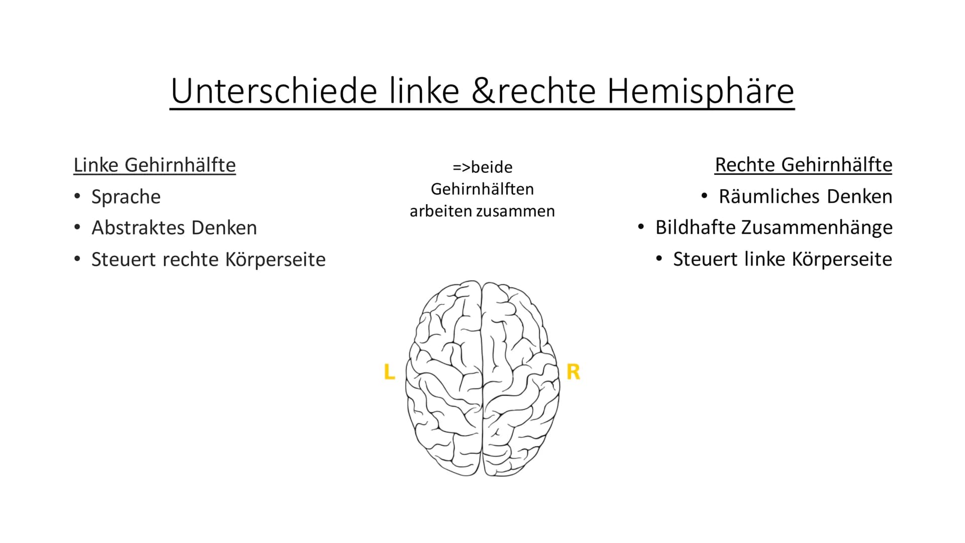 # Aufbau & Funktion des
menschlichen Gehirns
 Inhalt

• Allgemeine Fakten zum Gehirn
• Grundlegender Aufbau des Gehirns
• Schutz des Gehirns