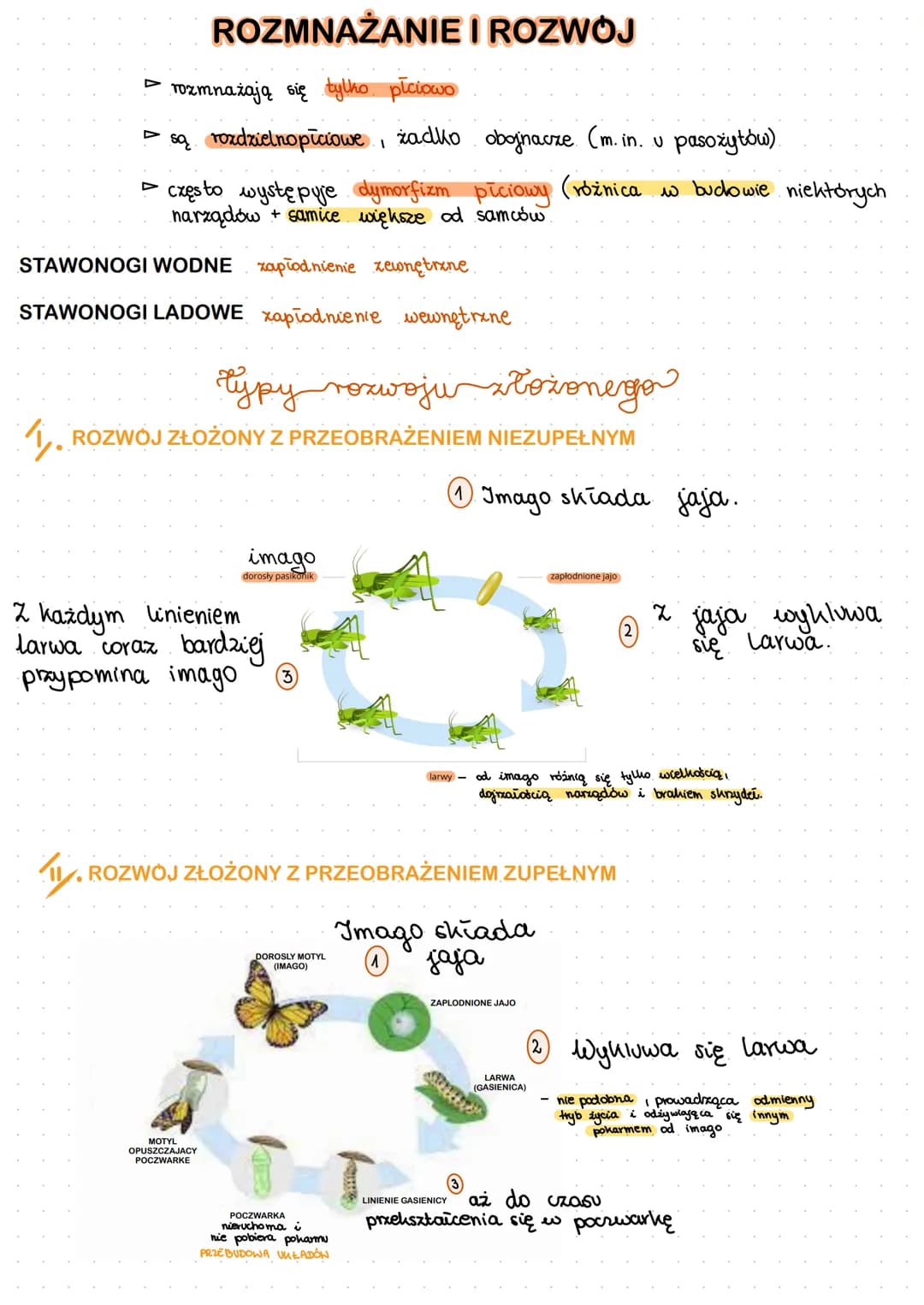 # stawonogi

SKORUPIA大で
szczypcehughna
odnóza kroczne-codient
oczy

PAJECZAKで
szczękoszczóϊκοpodobne

nogogłaszczka-furneje chwytne i
szczęk