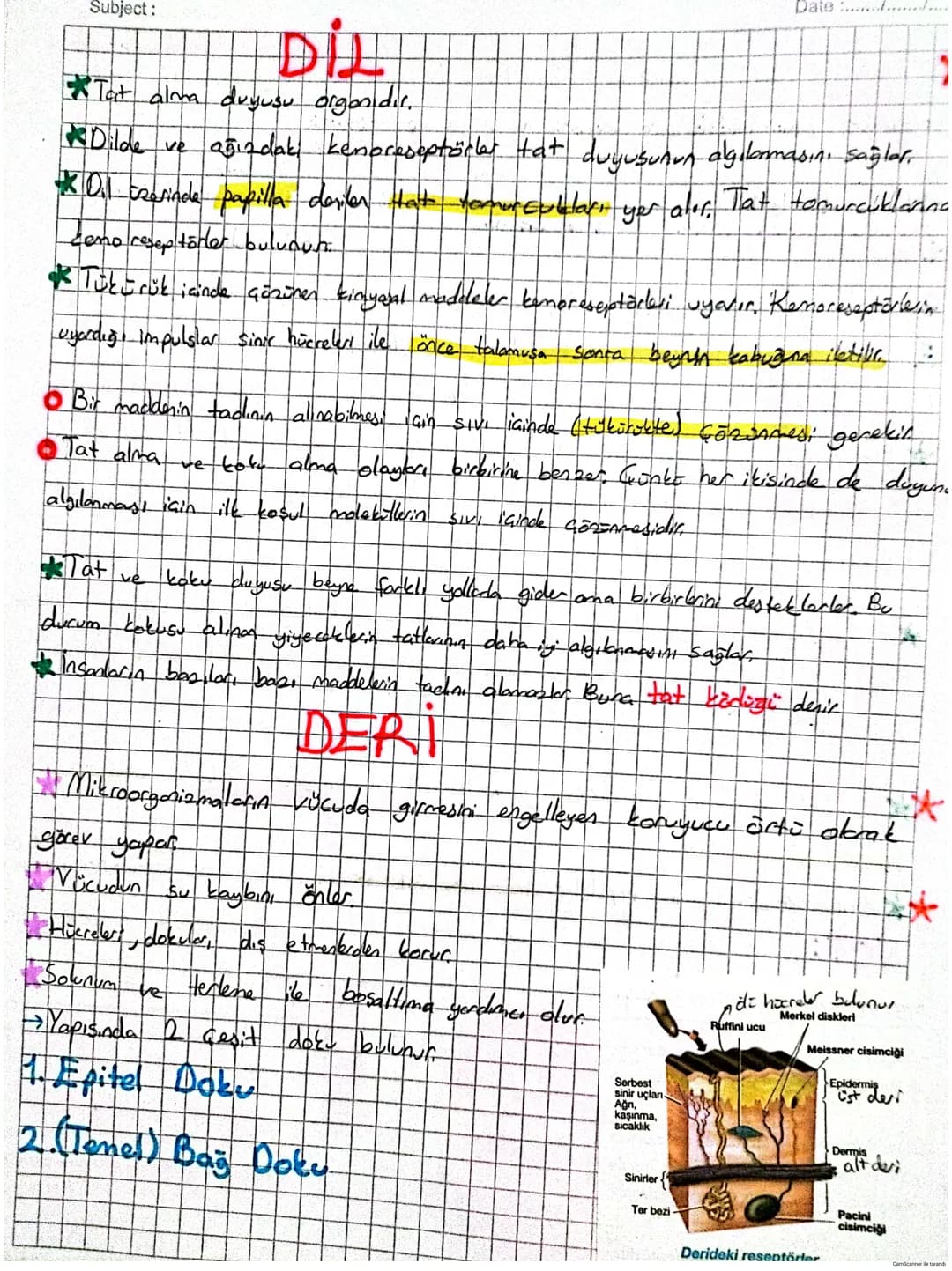 # DUYU ORGANLARI

*   Duyu organlarında çeşitli uyarıları almak için özelleşmiş duyu reseptöre:
    (almaa) bulunur. Reseptörer duyu epiteli