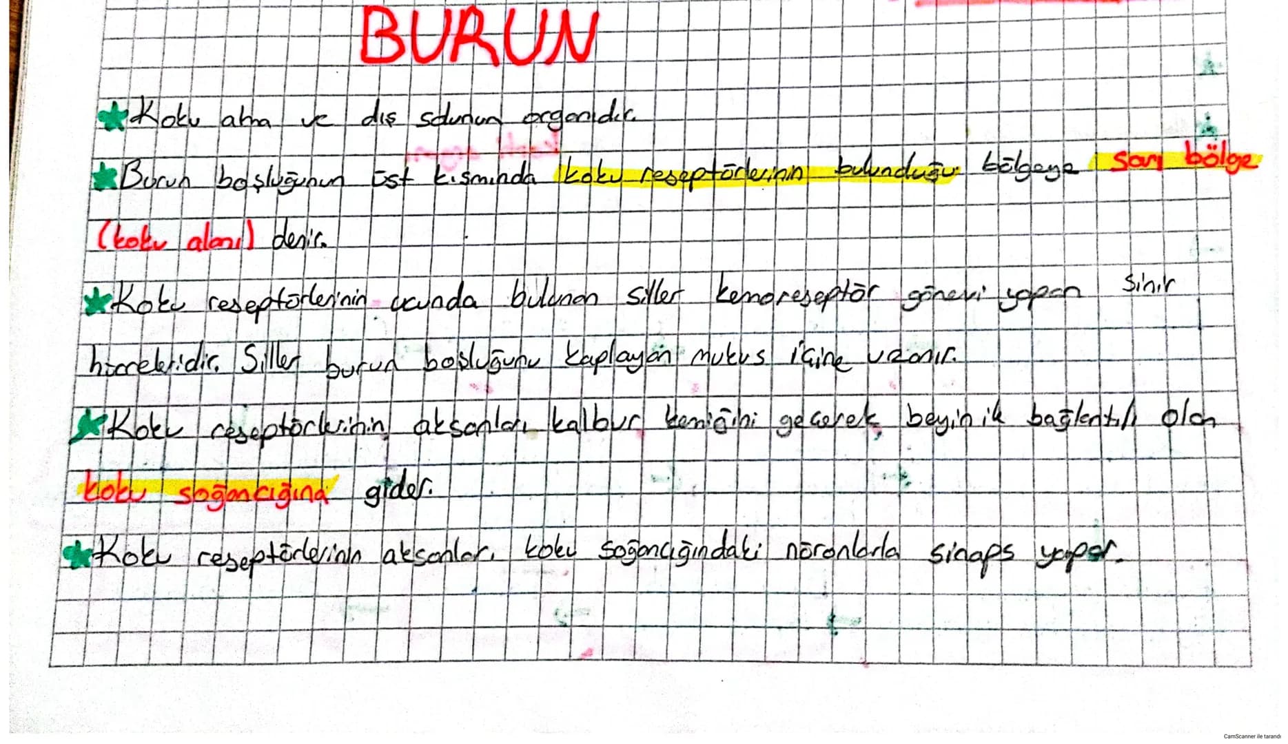 # DUYU ORGANLARI

*   Duyu organlarında çeşitli uyarıları almak için özelleşmiş duyu reseptöre:
    (almaa) bulunur. Reseptörer duyu epiteli