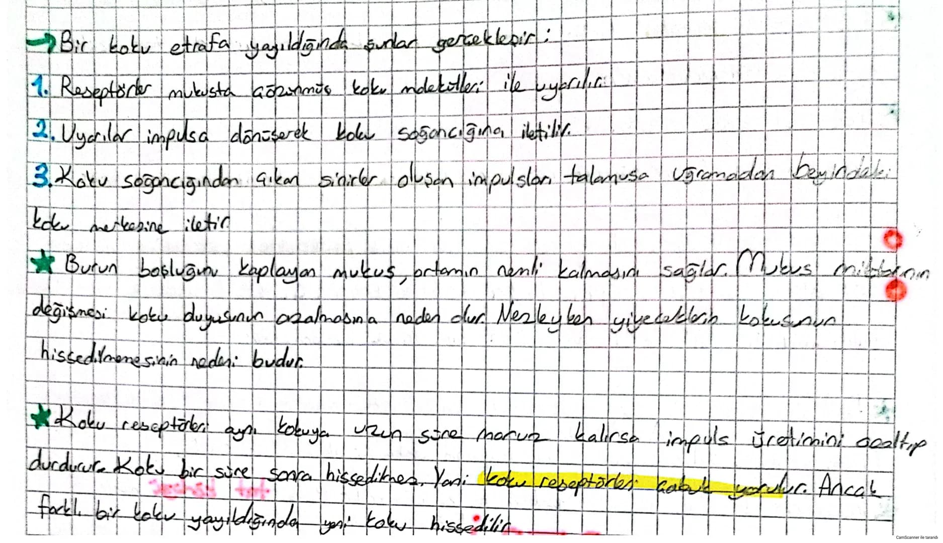# DUYU ORGANLARI

*   Duyu organlarında çeşitli uyarıları almak için özelleşmiş duyu reseptöre:
    (almaa) bulunur. Reseptörer duyu epiteli