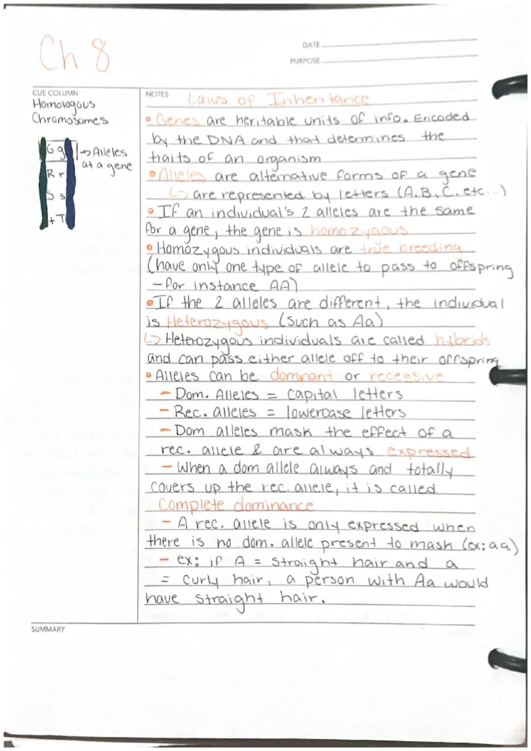 Ch8

CUE COLUMN
Homologous
Chromosomes

69 Alleles
Rr at a gene
SUMMARY

NOTES
DATE
PURPOSE
Laws of Inhen lance
• Genes are heritable units 