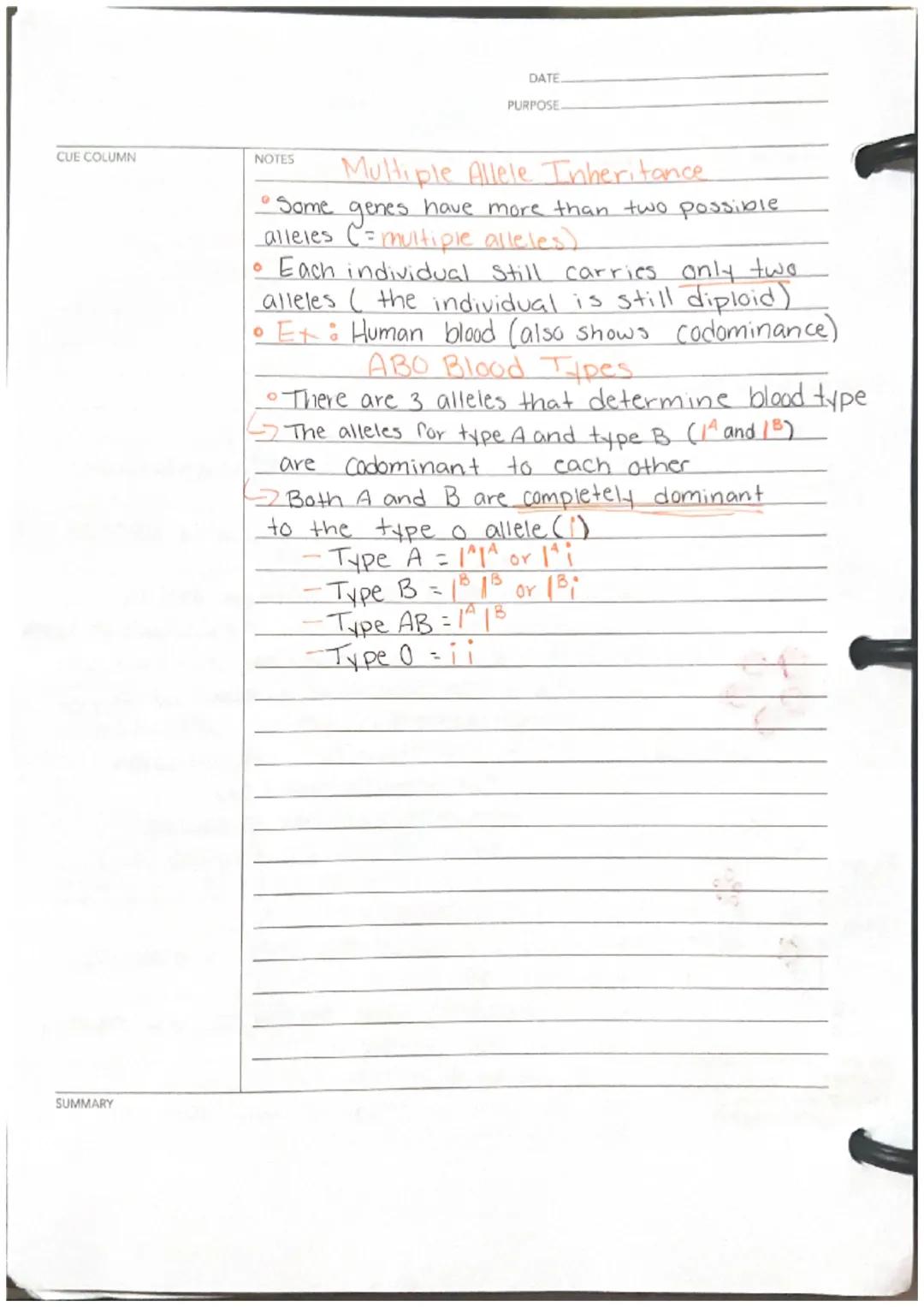 Ch8

CUE COLUMN
Homologous
Chromosomes

69 Alleles
Rr at a gene
SUMMARY

NOTES
DATE
PURPOSE
Laws of Inhen lance
• Genes are heritable units 