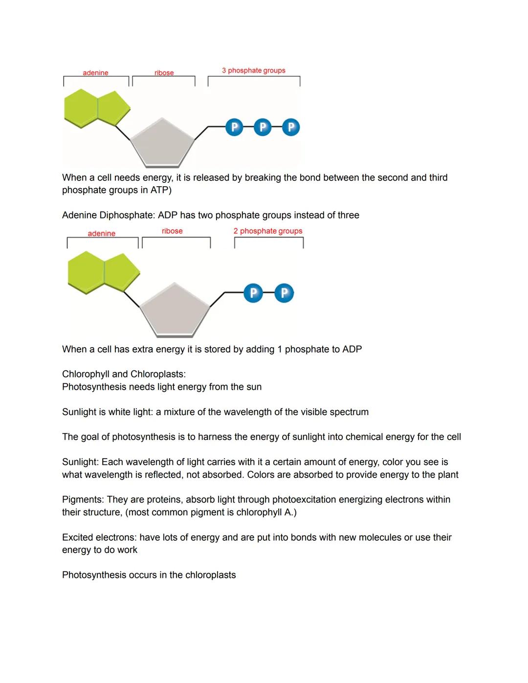 
<p>Science is an organized way of understanding the world. It is a process that only relates to the natural world and shows patterns and co