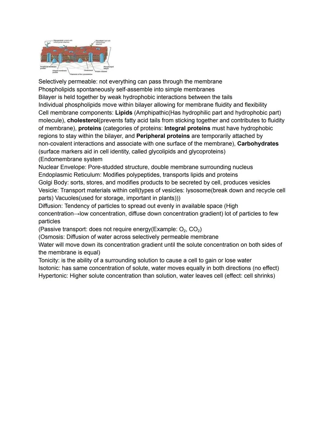 
<p>Science is an organized way of understanding the world. It is a process that only relates to the natural world and shows patterns and co