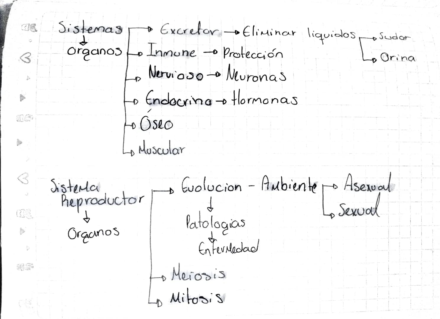 B
Sistemas

d
Organos

D
→ Excretor→Eliminar liquidos

Inmune Protección

Nervioso Neuronas

Endocrina Hormonas

Oseo

Sudar

Orina

Muscula