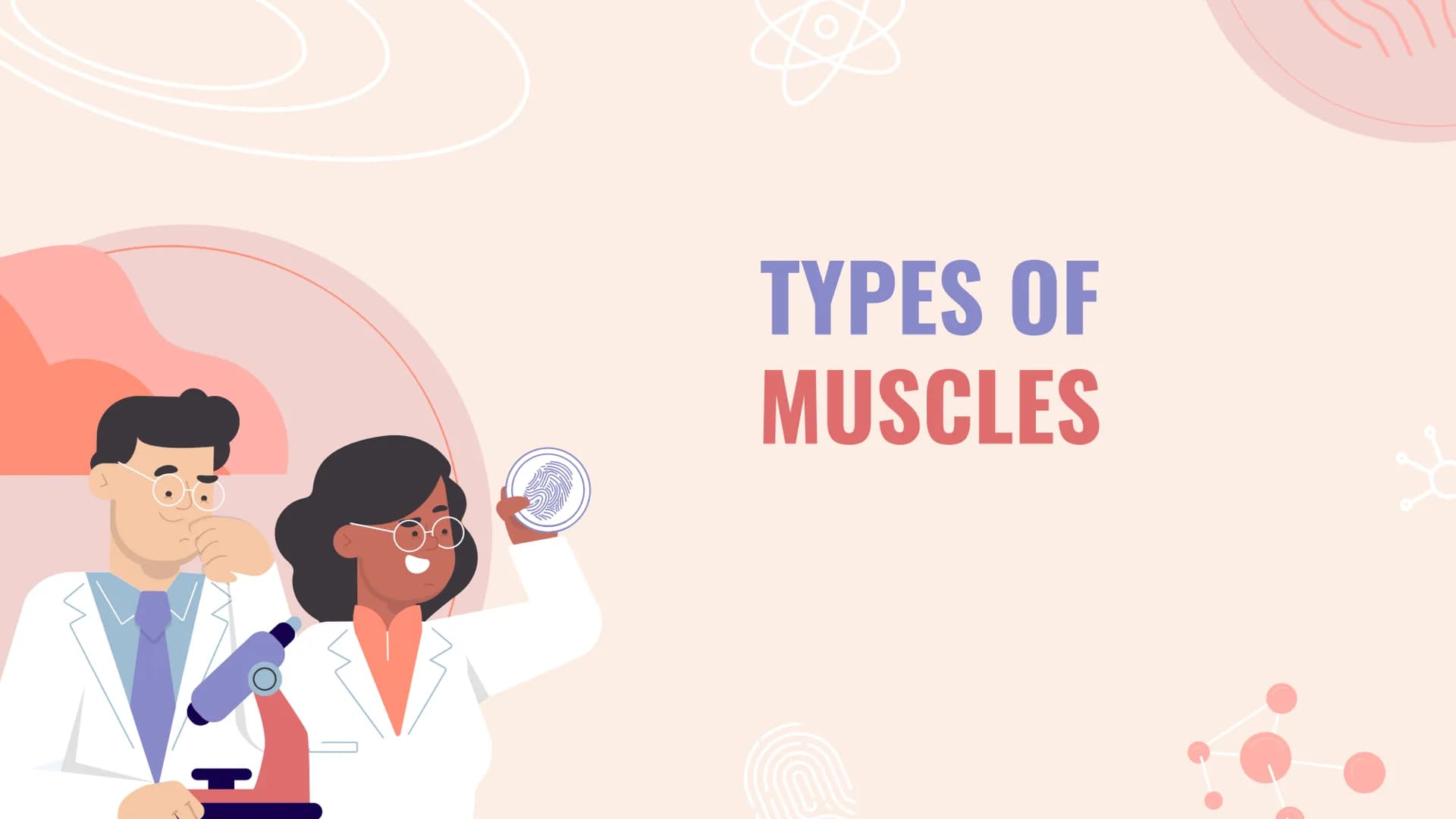 # TYPES OF
# MUSCLES # What are the muscles?

The muscles of the human muscular system are composed of a kind of elastic
tissue. Every movem