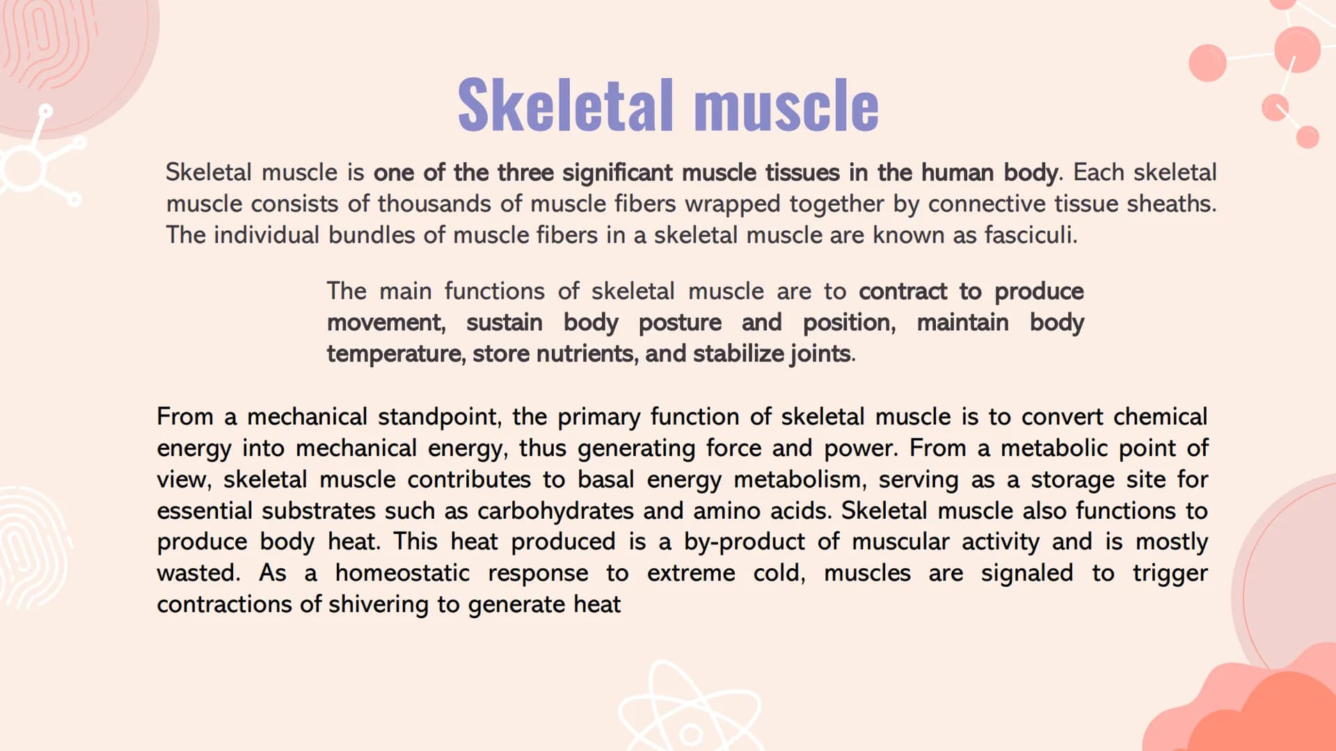 # TYPES OF
# MUSCLES # What are the muscles?

The muscles of the human muscular system are composed of a kind of elastic
tissue. Every movem