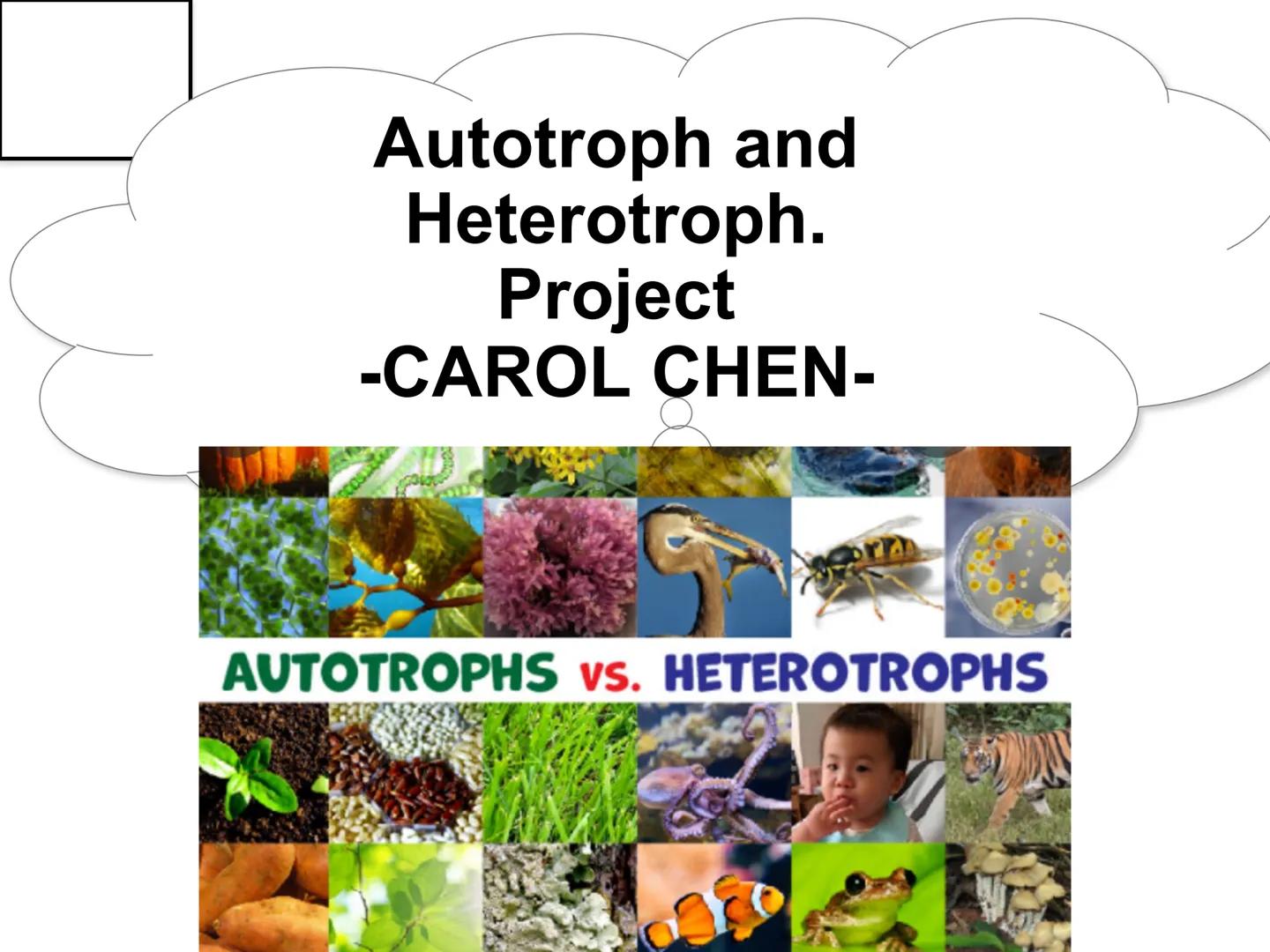 # Autotroph and
# Heterotroph.
# Project
# -CAROL CHEN-

AUTOTROPHS vs. HETEROTROPHS # How does photosynthesis happen?

• Photosynthesis: wi