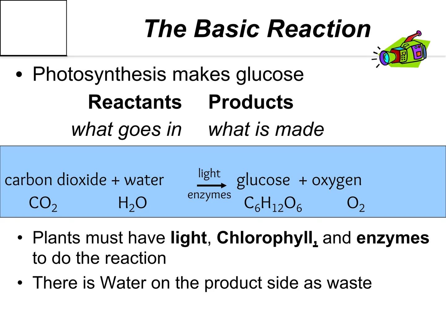 # Autotroph and
# Heterotroph.
# Project
# -CAROL CHEN-

AUTOTROPHS vs. HETEROTROPHS # How does photosynthesis happen?

• Photosynthesis: wi