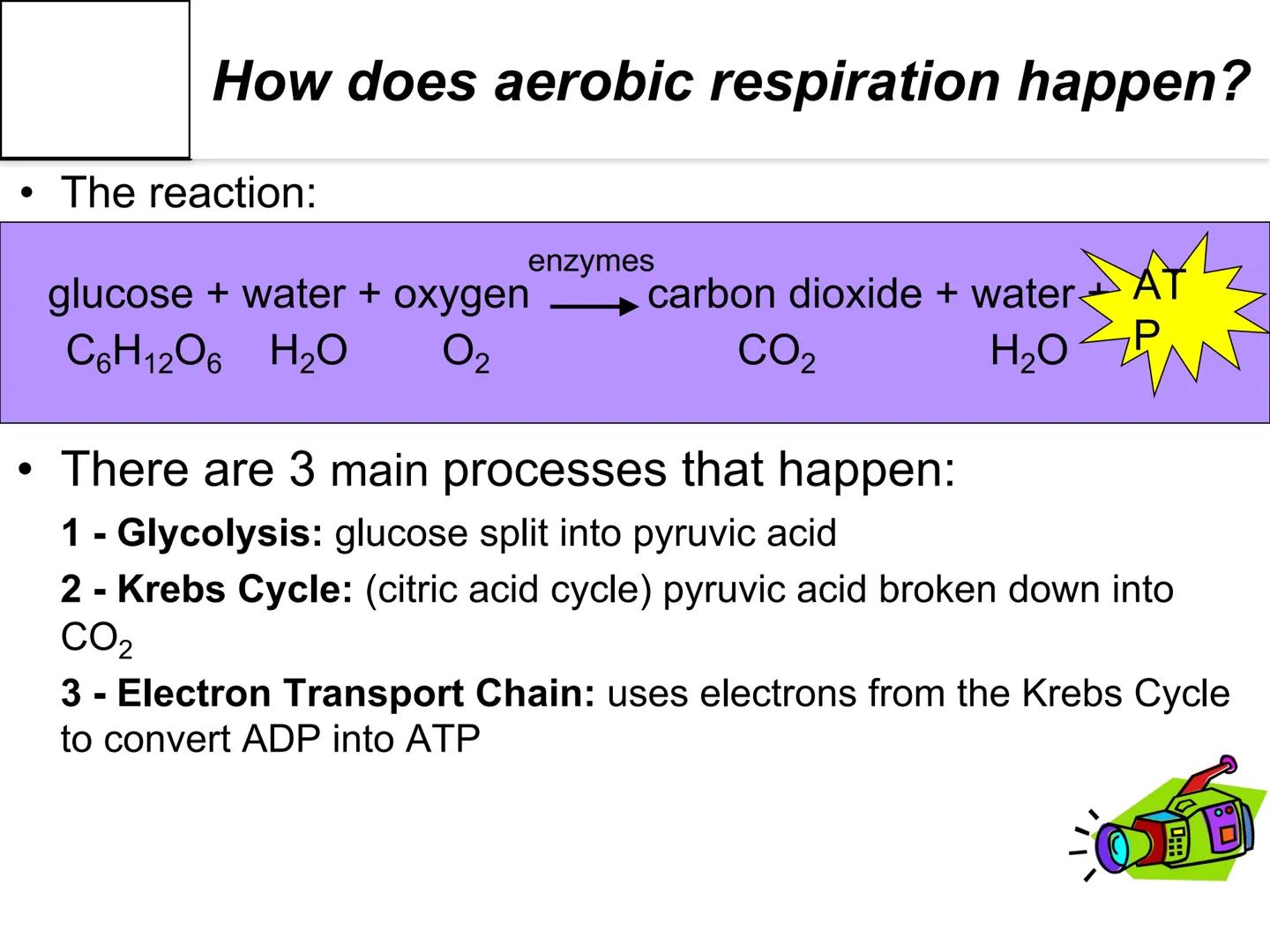 # Autotroph and
# Heterotroph.
# Project
# -CAROL CHEN-

AUTOTROPHS vs. HETEROTROPHS # How does photosynthesis happen?

• Photosynthesis: wi