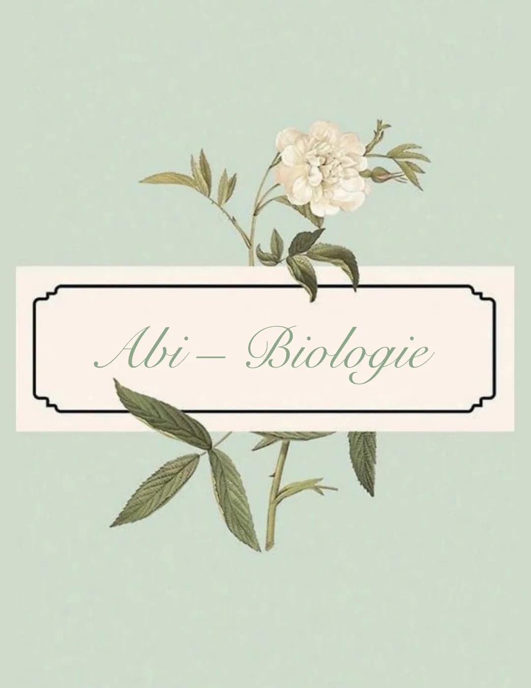 Abi - Biologie # Bio Abitur - Zellbiologie

Zelltypen

10-30 μπ
Tierzelle
Eukaryoten Mensch, Pflanze, Pilze
Pflanzen
Zelle

Prokaryot Bakter