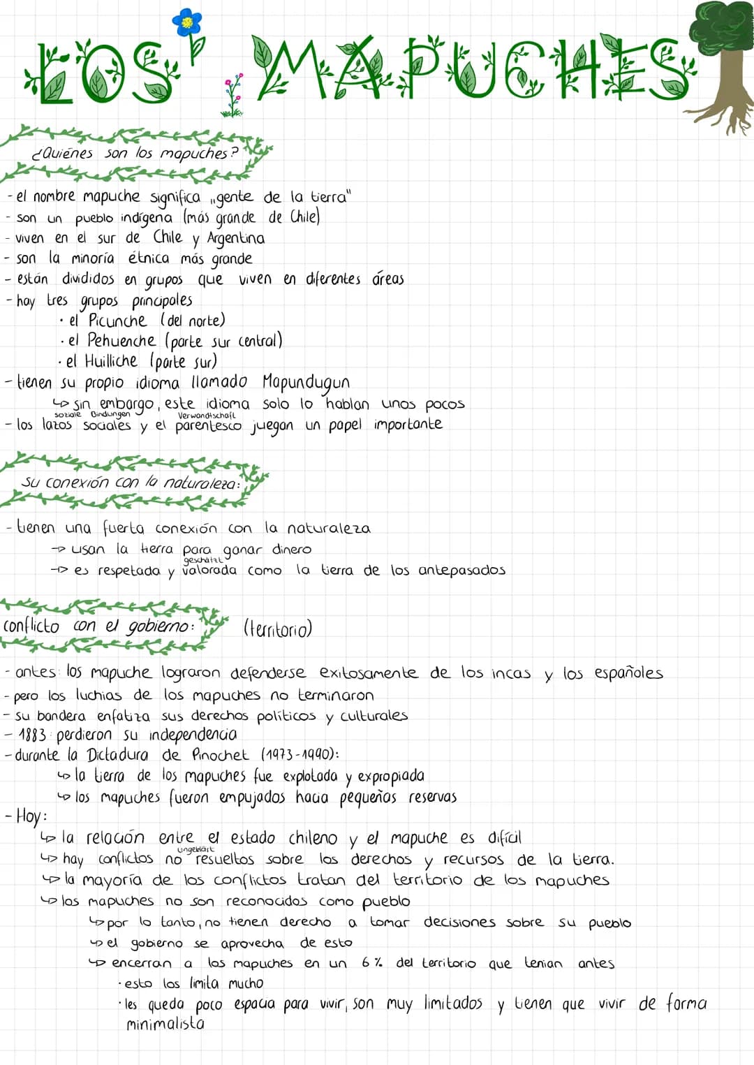 # LOS MAPUCHES

¿Quienes son los mapuches?

- el nombre mapuche significa gente de la tierra"
- son un pueblo indígena (más grande de Chile)