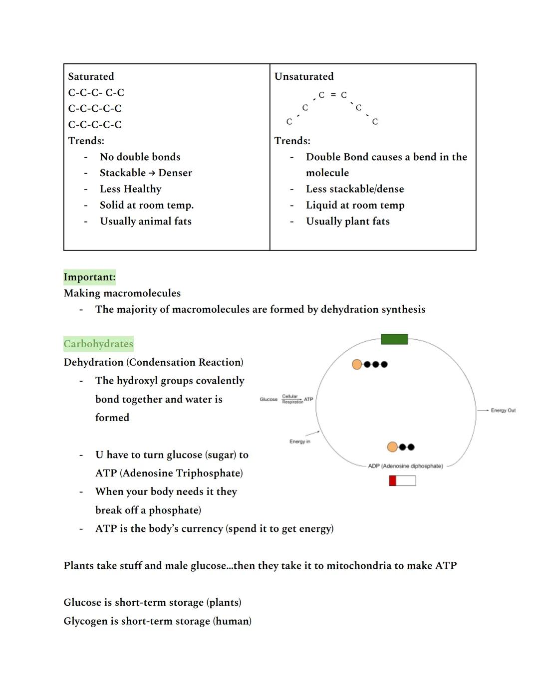Intro to Unit 1 (Summative test)

All living things have 6 essential elements: CHNOPS
- Carbon
- Hydrogen
- Nitrogen
- Oxygen
- Phosphorous
