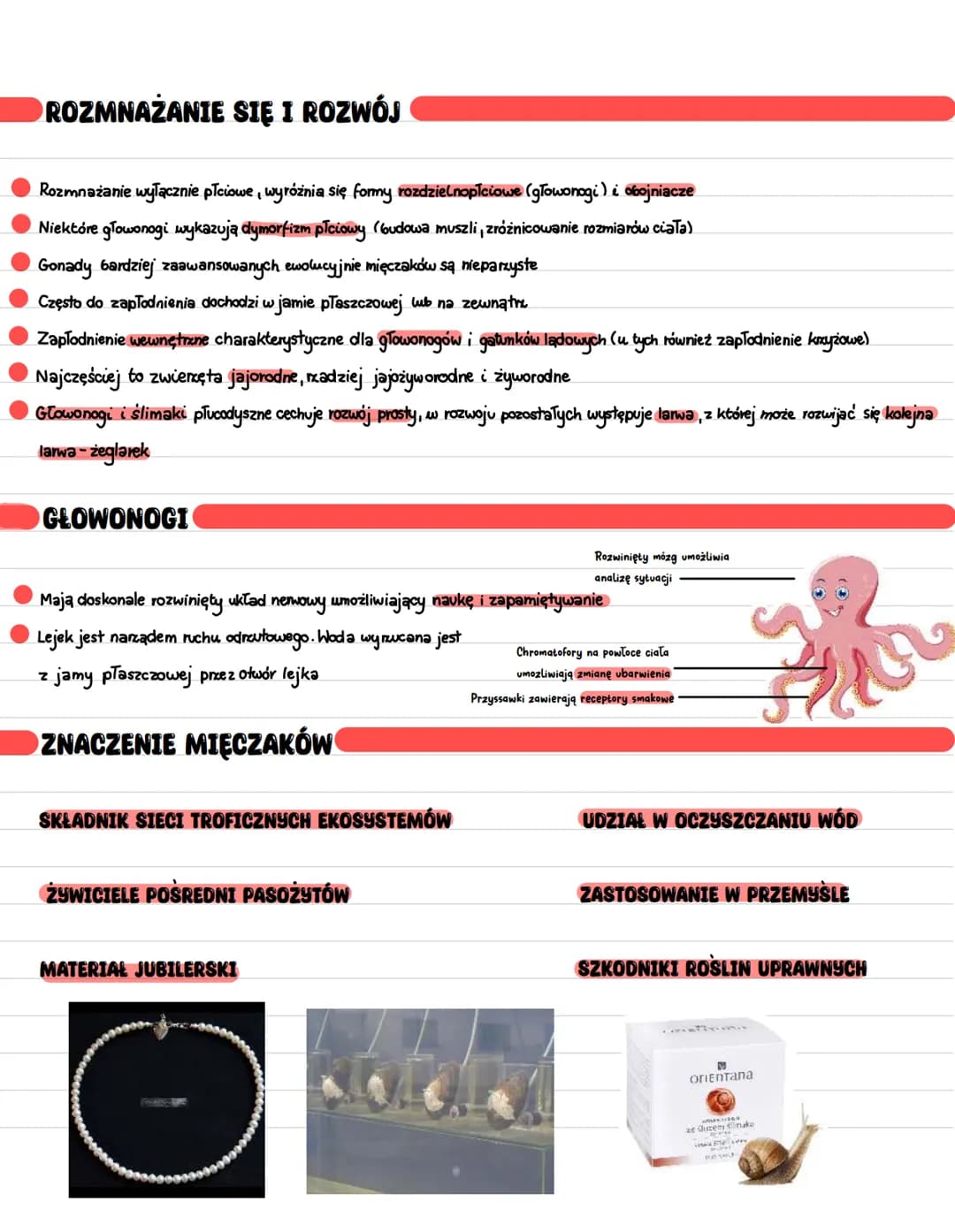 # MIĘCZAKI

*   Większość żyje w morzach i oceanach, nieliczne gatunki w wodach słodkich, czy na lądzie dzięki możliwości zapadania w stan a