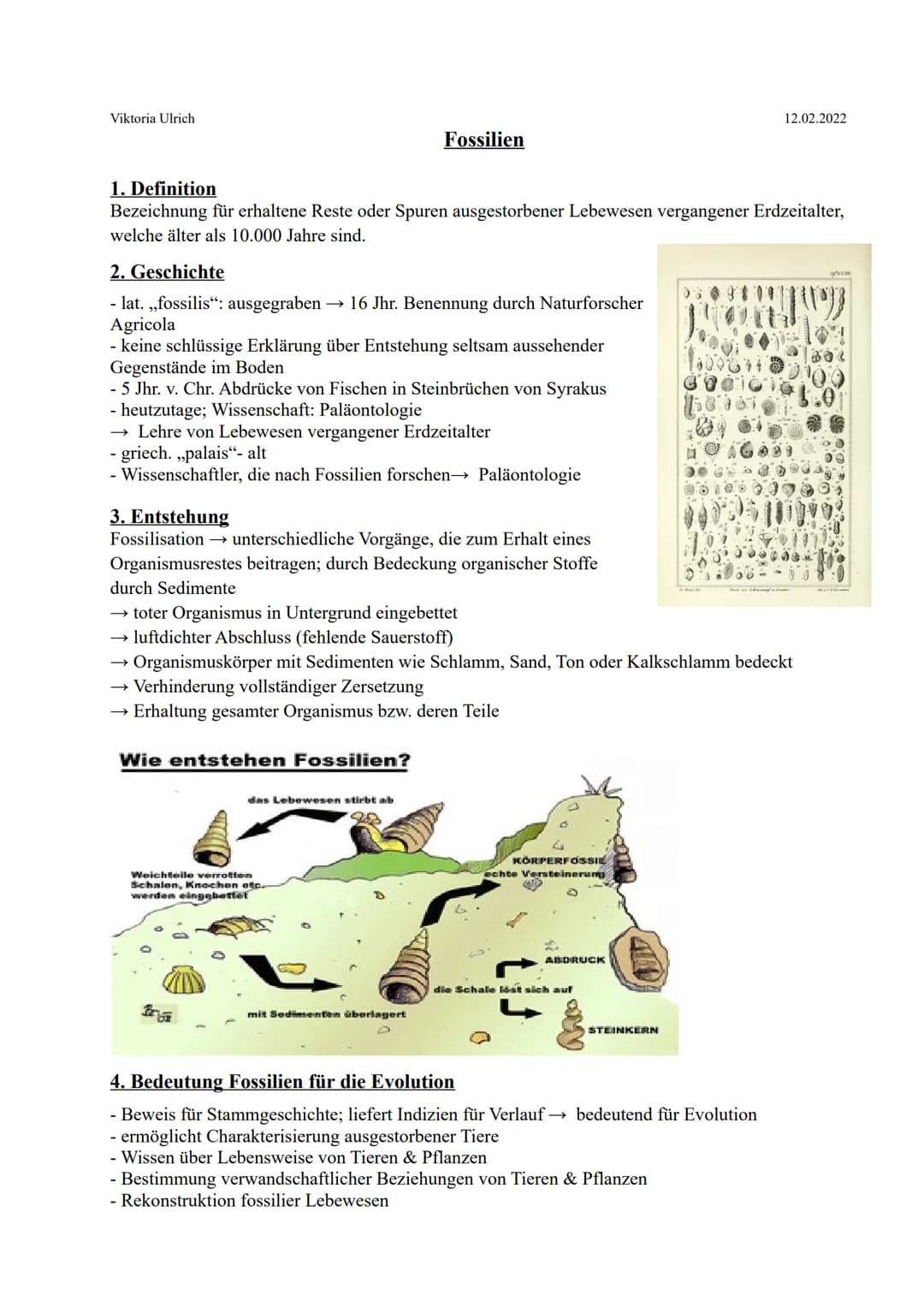 Viktoria Ulrich

Fossilien

12.02.2022

1. Definition
Bezeichnung für erhaltene Reste oder Spuren ausgestorbener Lebewesen vergangener Erdze