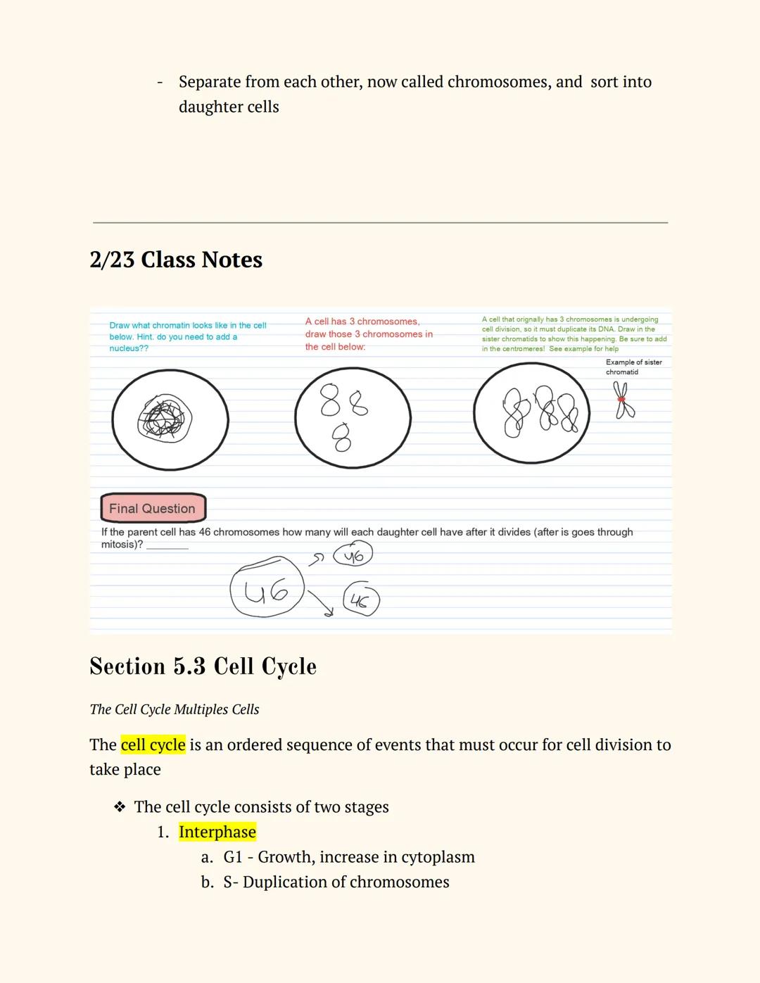 # 9TH GRADE
# BIOLOGY Unit 5

Notes on Playposit 5.1, Intro to Cell Division & Growth
2
Introduction: Big Ideas
2
DNA "Overload"
2
Exchangin