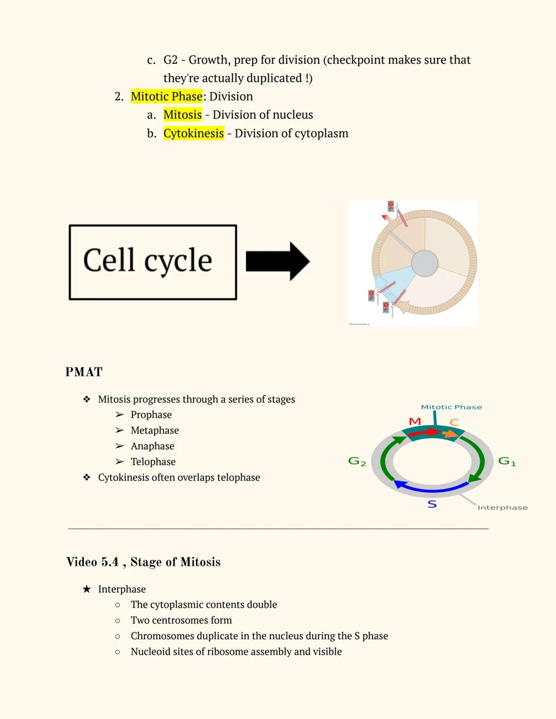 # 9TH GRADE
# BIOLOGY Unit 5

Notes on Playposit 5.1, Intro to Cell Division & Growth
2
Introduction: Big Ideas
2
DNA "Overload"
2
Exchangin