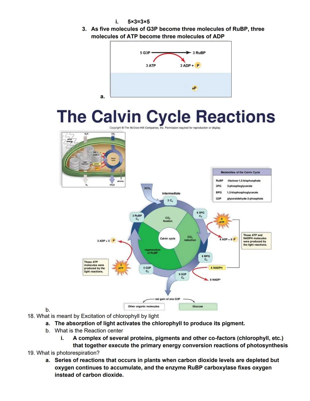 # BIOL 1406 CH 7 Photosynthesis Outline

Learning Outcomes:

Photosynthetic Organisms

Explain how autotrophs are able to produce their own 