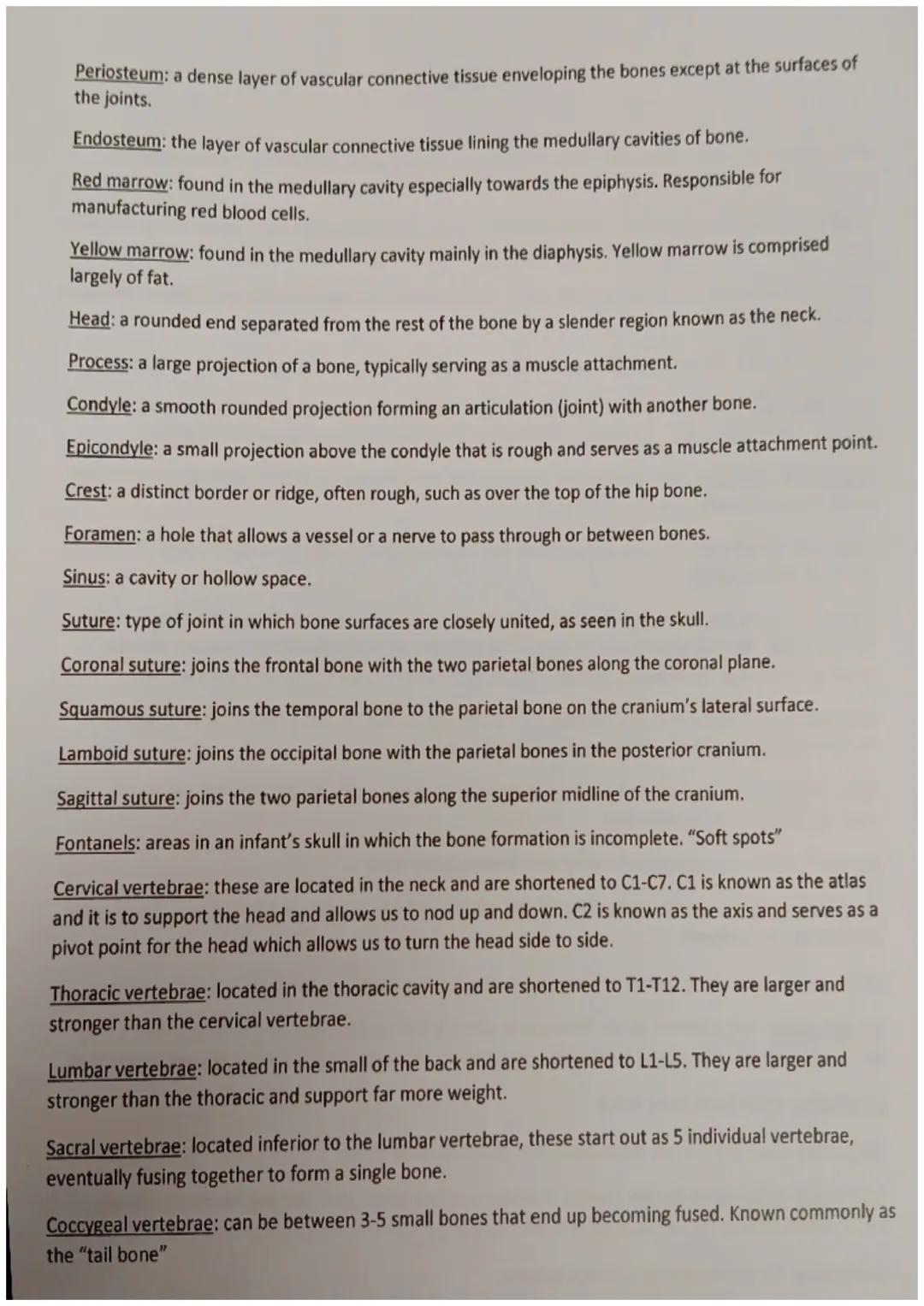 General Common Suffixes
-able, ible: capable of, able to
-ac, iac: pertaining to
-al, ian: pertaining to
-algia: pain
-ar, -ary: pertaining 
