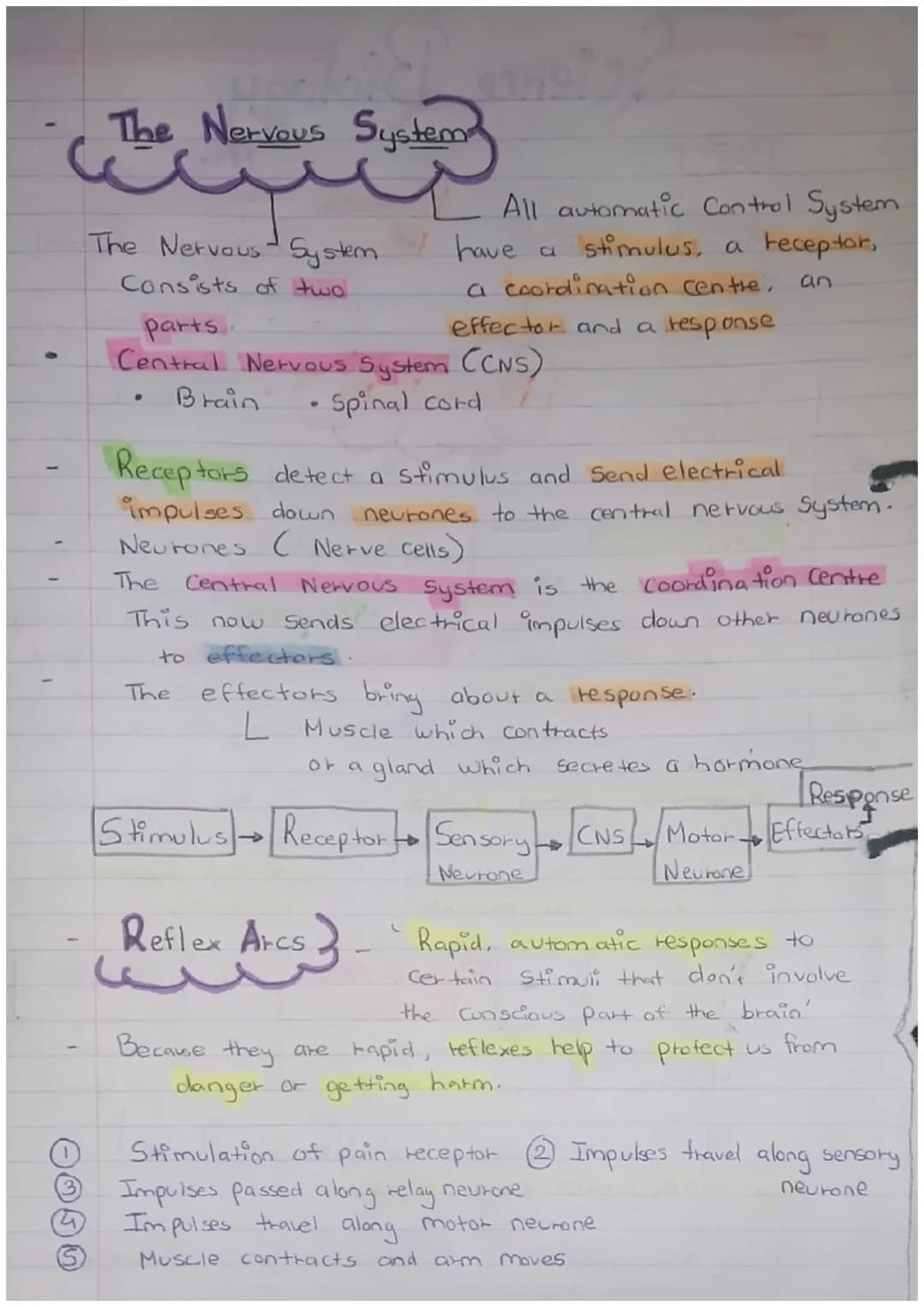 # Science Biology

PAPER 2

Maintain- INTERNAL
ENVIRONMENT
changes outside our cells.

Response to
both internal
and external conditions.

H