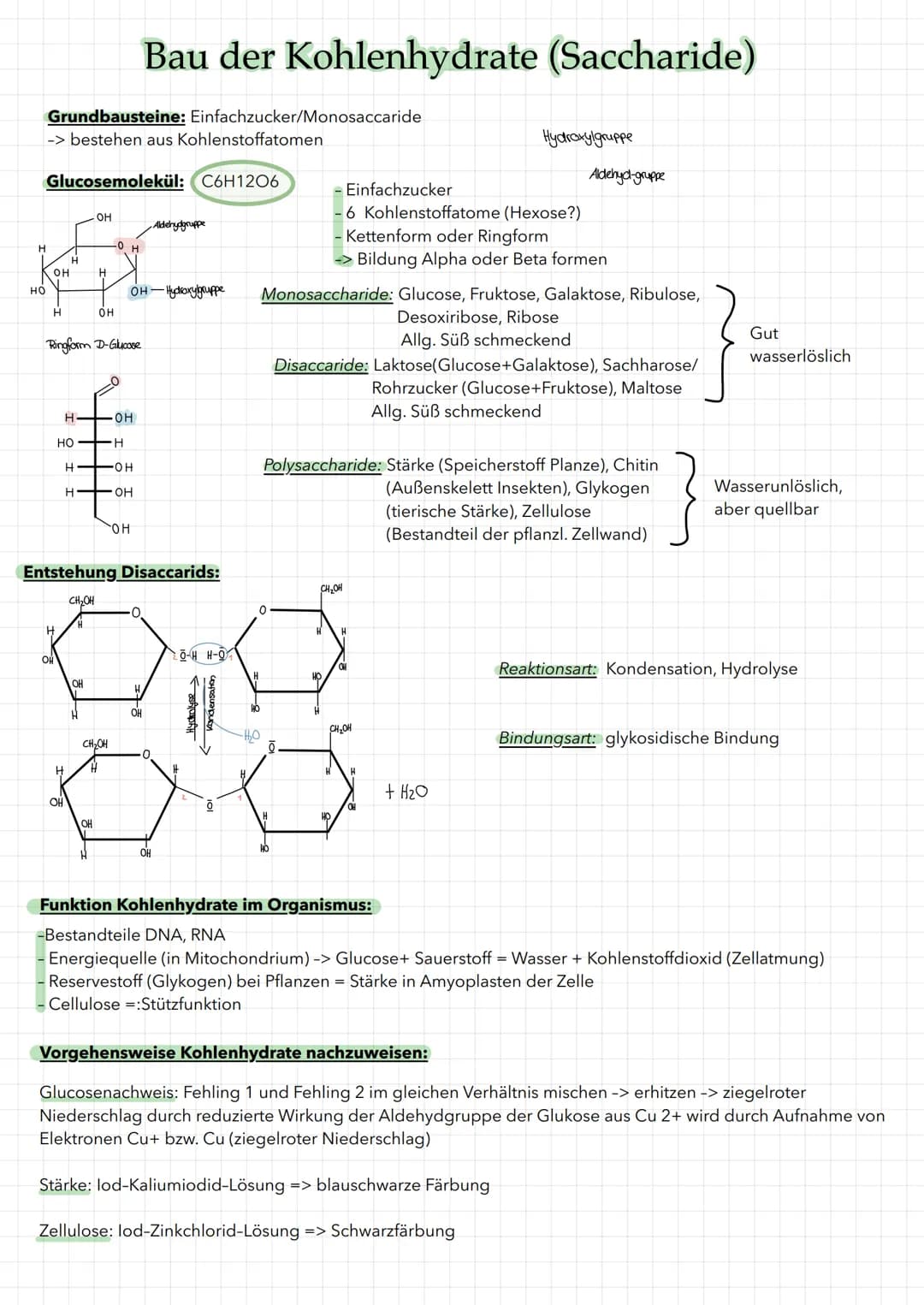 # Bau der Kohlenhydrate (Saccharide)

Grundbausteine: Einfachzucker/Monosaccaride
-> bestehen aus Kohlenstoffatomen

Glucosemolekül: C6H1206
