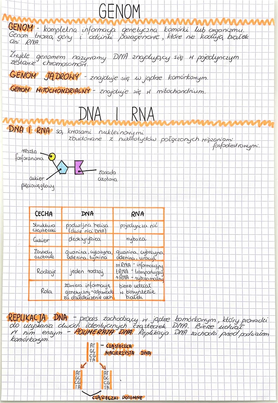 # GEN

GENY sa, podstanorrymi jednostkami dziedziczenia.
Pojedynczy
GEN to fragment DNA, który zanie zawiera informaye, dotyczącą
budowy bia