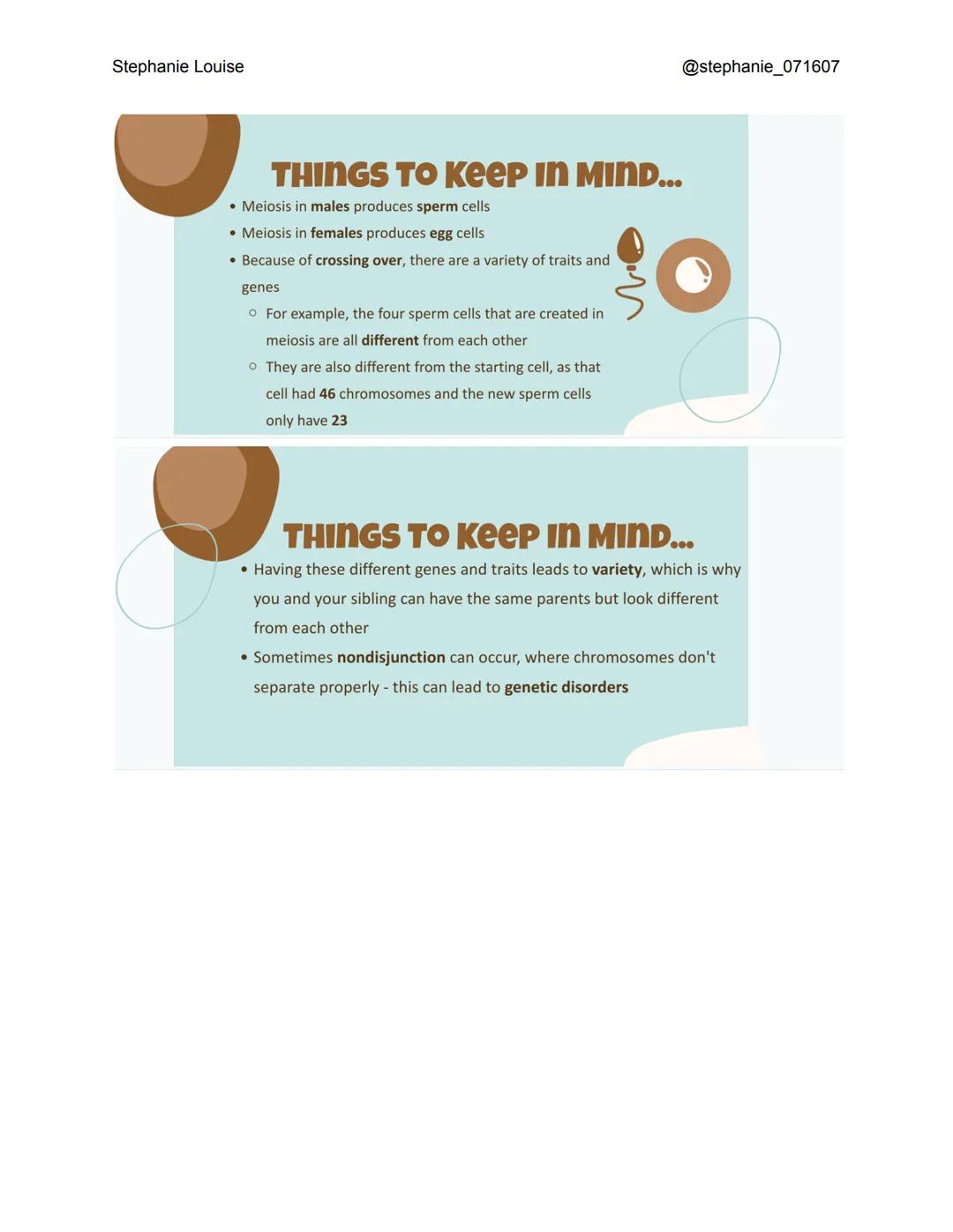 Stephanie Louise

INTRODUCTION TO
MEIOSIS
THE LIVING EARTH

XX
XX
XX
300

INTERPHASE
*   Like in mitosis, interphase occurs before meiosis e