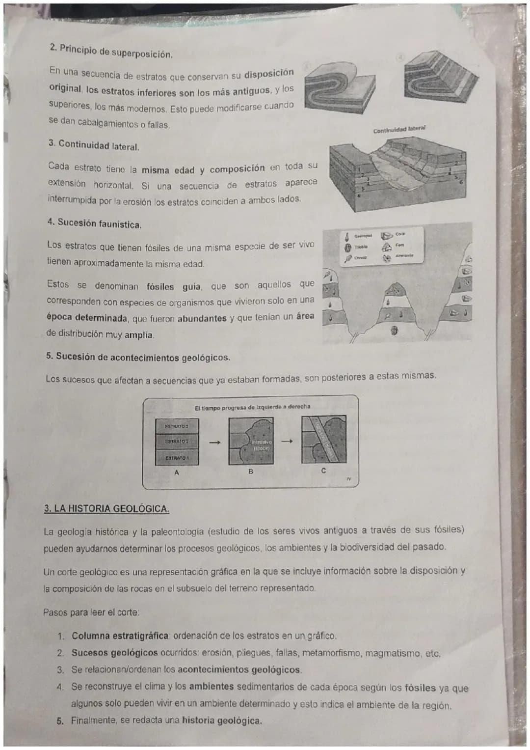 UNIDAD 7: LA HISTORIA DE LA TIERRA.

1. EL REGISTRO DE LA HISTORIA DE LA TIERRA.

La Tierra ha cambiado con el paso del tiempo. En el siglo 