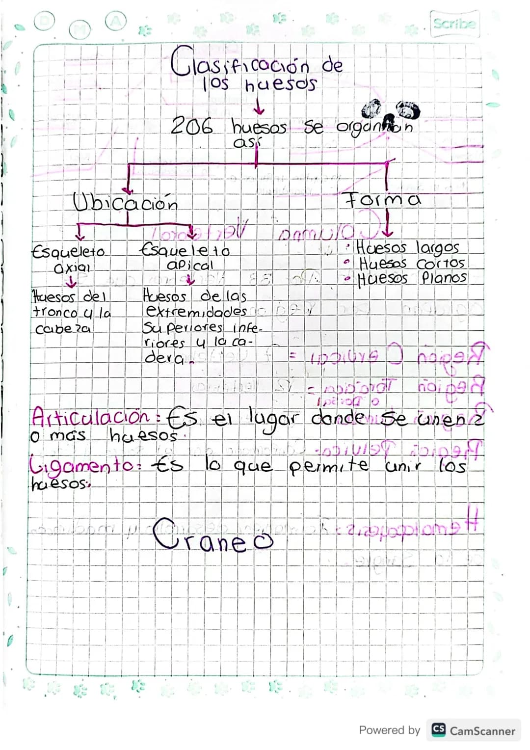 Sistema Oseo

Conformado
Por:

-
Huesos
-
Cartilago
-
Gigamento
-
Articulación

¿Como se forman ?

Mediante un proceso llamado/Osificación:
