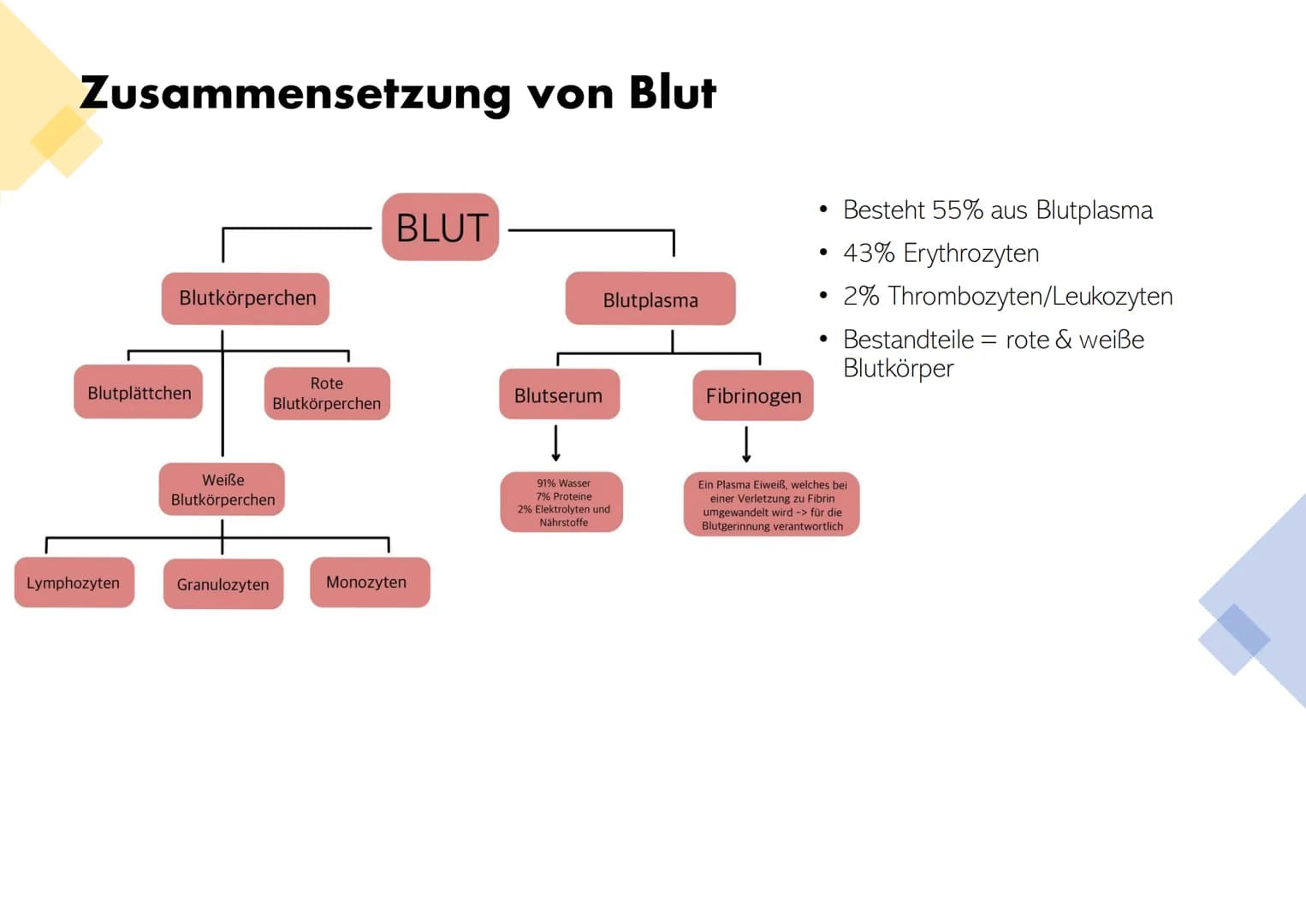 # Die Zusammensetzung und Aufgaben des Blutes Gliederung

• Was ist eigentlich Blut?
• Zusammensetzungen & Aufgaben von Blut
• Blutplasma
• 