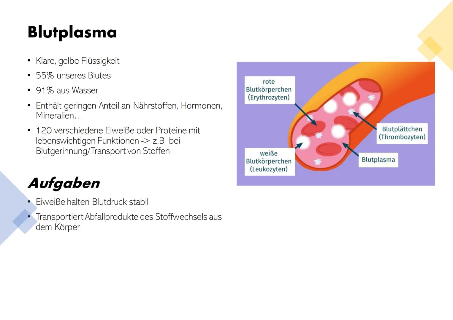 # Die Zusammensetzung und Aufgaben des Blutes Gliederung

• Was ist eigentlich Blut?
• Zusammensetzungen & Aufgaben von Blut
• Blutplasma
• 