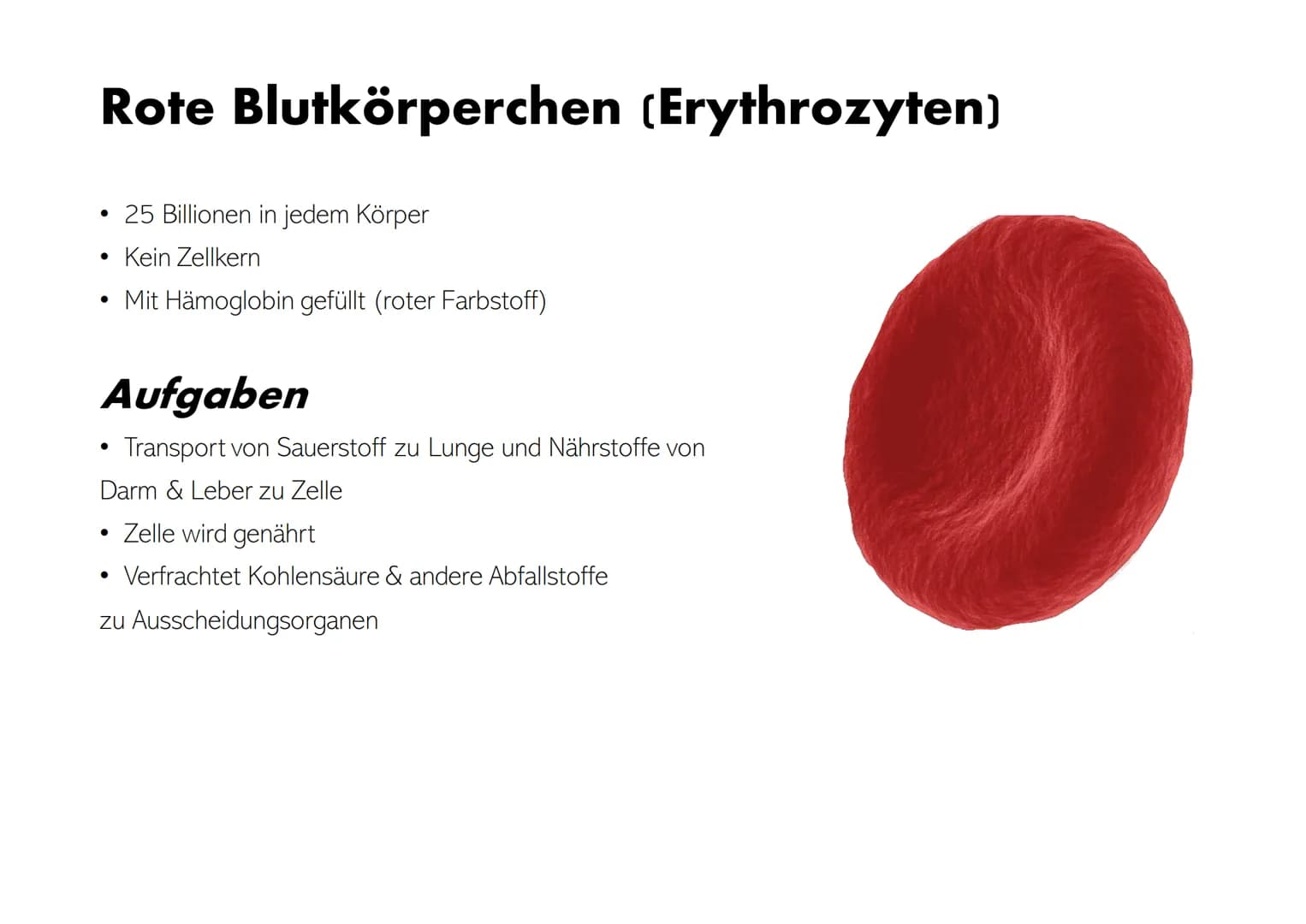 # Die Zusammensetzung und Aufgaben des Blutes Gliederung

• Was ist eigentlich Blut?
• Zusammensetzungen & Aufgaben von Blut
• Blutplasma
• 