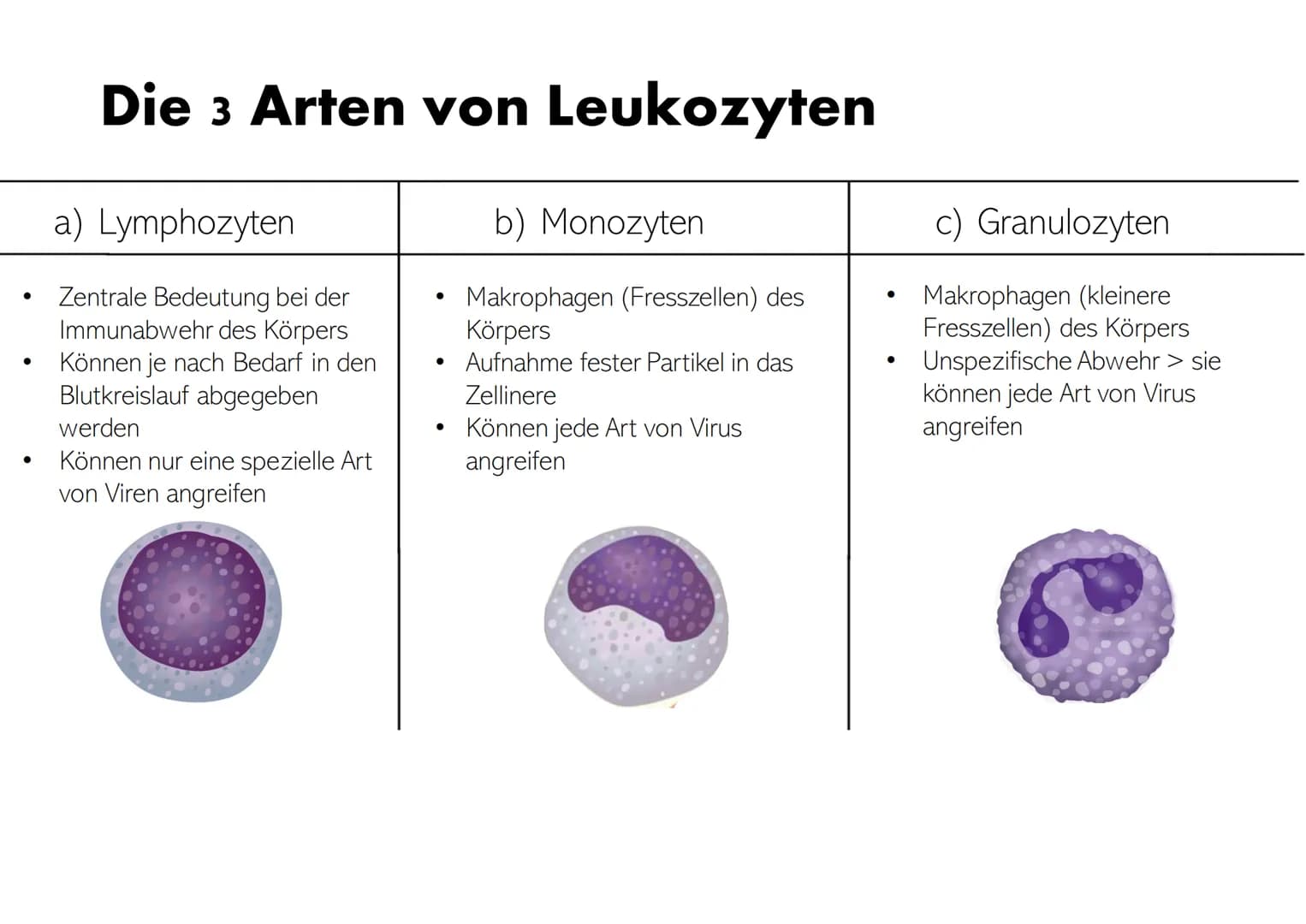 # Die Zusammensetzung und Aufgaben des Blutes Gliederung

• Was ist eigentlich Blut?
• Zusammensetzungen & Aufgaben von Blut
• Blutplasma
• 