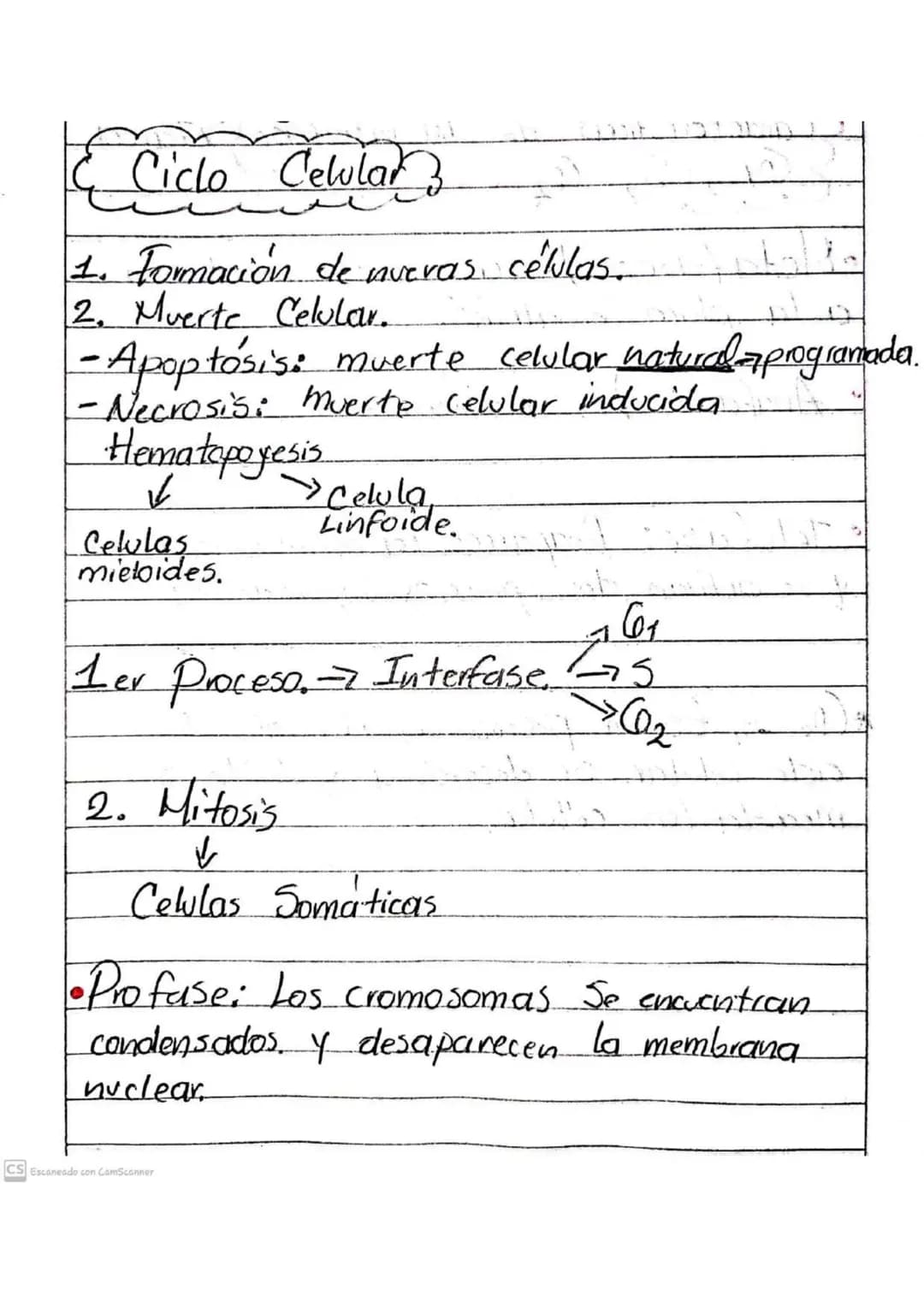 Ciclo Celular

1. Formación de nuevas células.
2. Muerte Celular.
-Apoptosis: muerte celular natural programada.
-Necrosis: Muerte Celular i