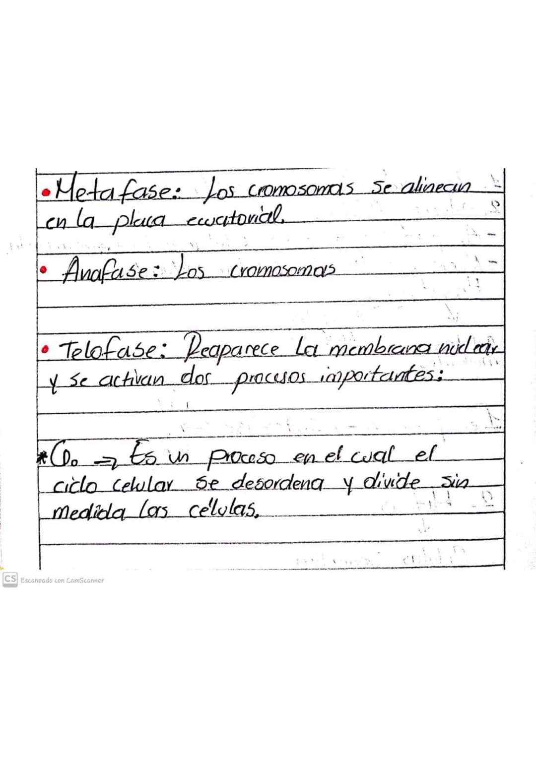 Ciclo Celular

1. Formación de nuevas células.
2. Muerte Celular.
-Apoptosis: muerte celular natural programada.
-Necrosis: Muerte Celular i