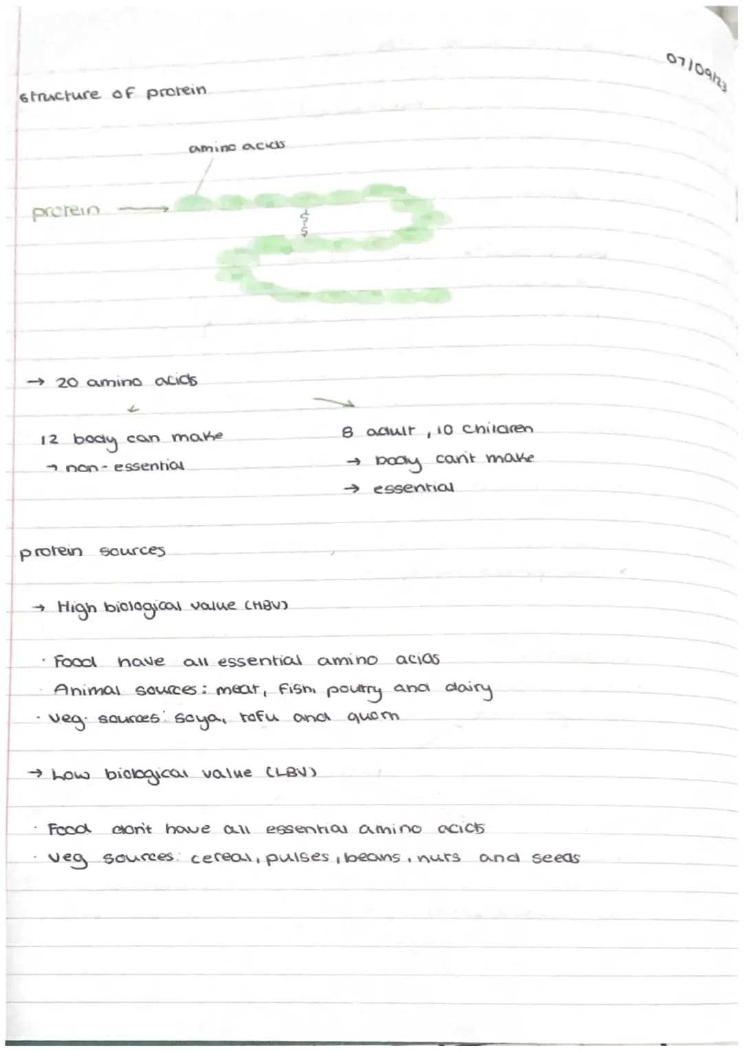 structure of protein.

protein

amino acics

→20 amino acids

12 body can make

non-essential

8 adult, 10 chilaren
→
body can't make
→ esse