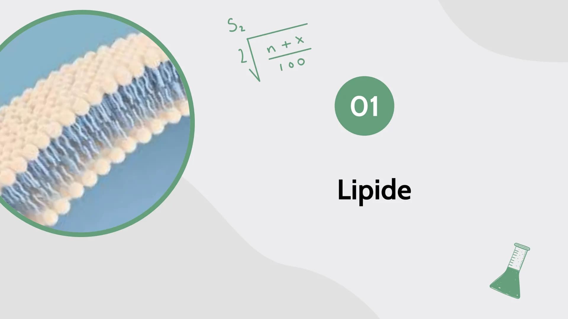 D
B
C
K
Lipide
von Maja, Sarah, Carla, Johanna und Assia
$A+B=C$ A+B=C

# Inhalt

01

# Lipide

- Was ist das?
- Verschiedene Arten
- gesätt