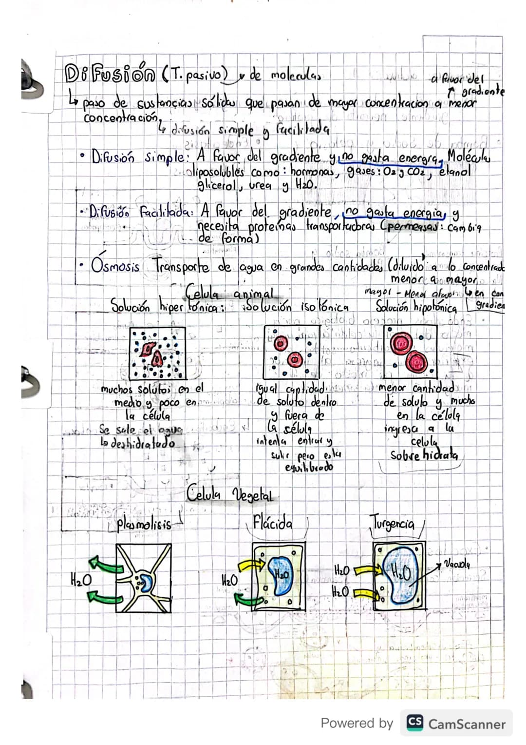 la cedula respira. ATP proteinas) Aun miracanary

09/04/2023

# Transporte en la membrana

*   Compuesta por: bicapa de fosfolipidos: cabeza