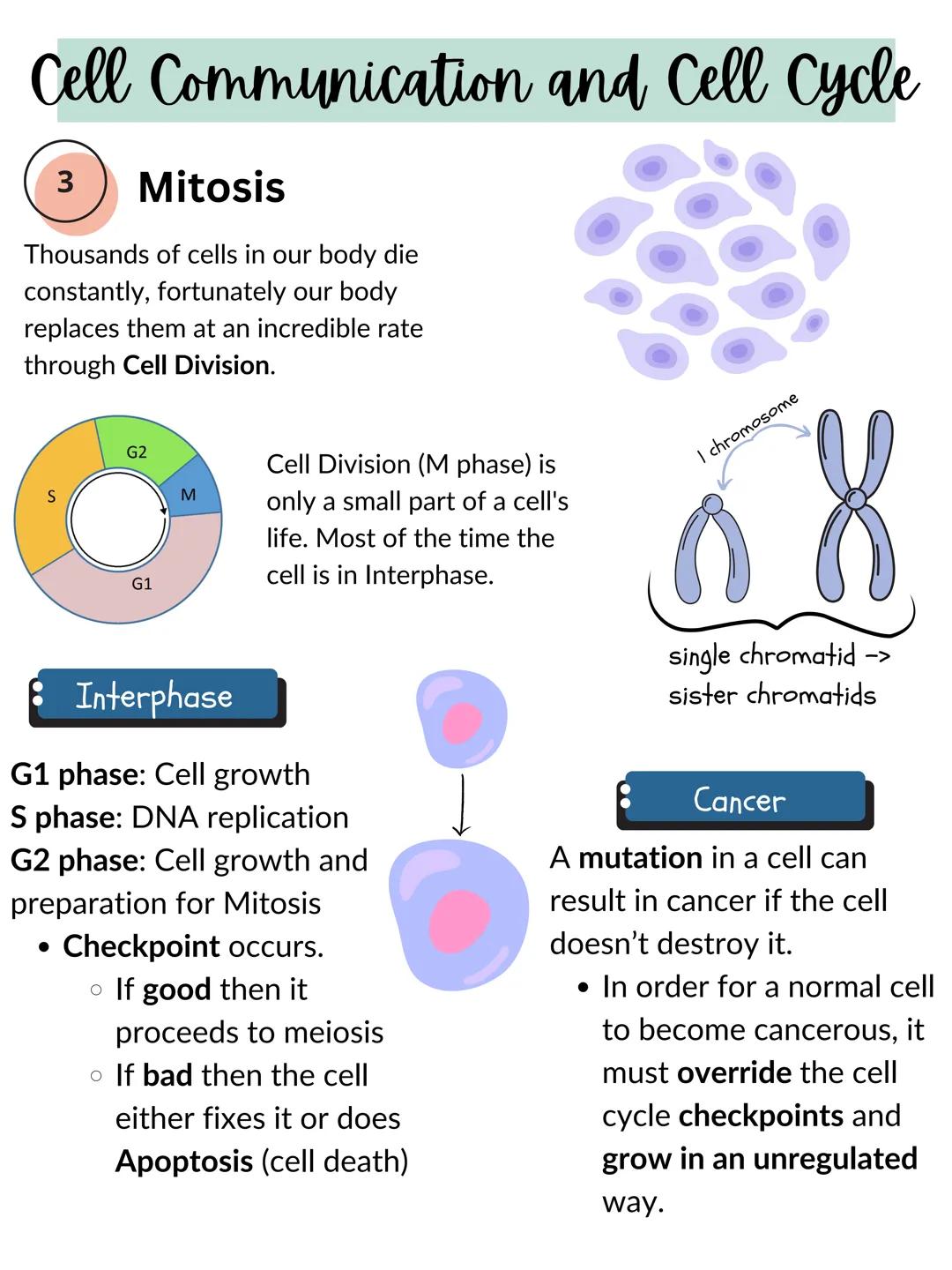 # Cell Communication and Cell Cycle

1
Signal transduction

Cell communicate through cell-cell contact
and through cell signaling.

•	it's d