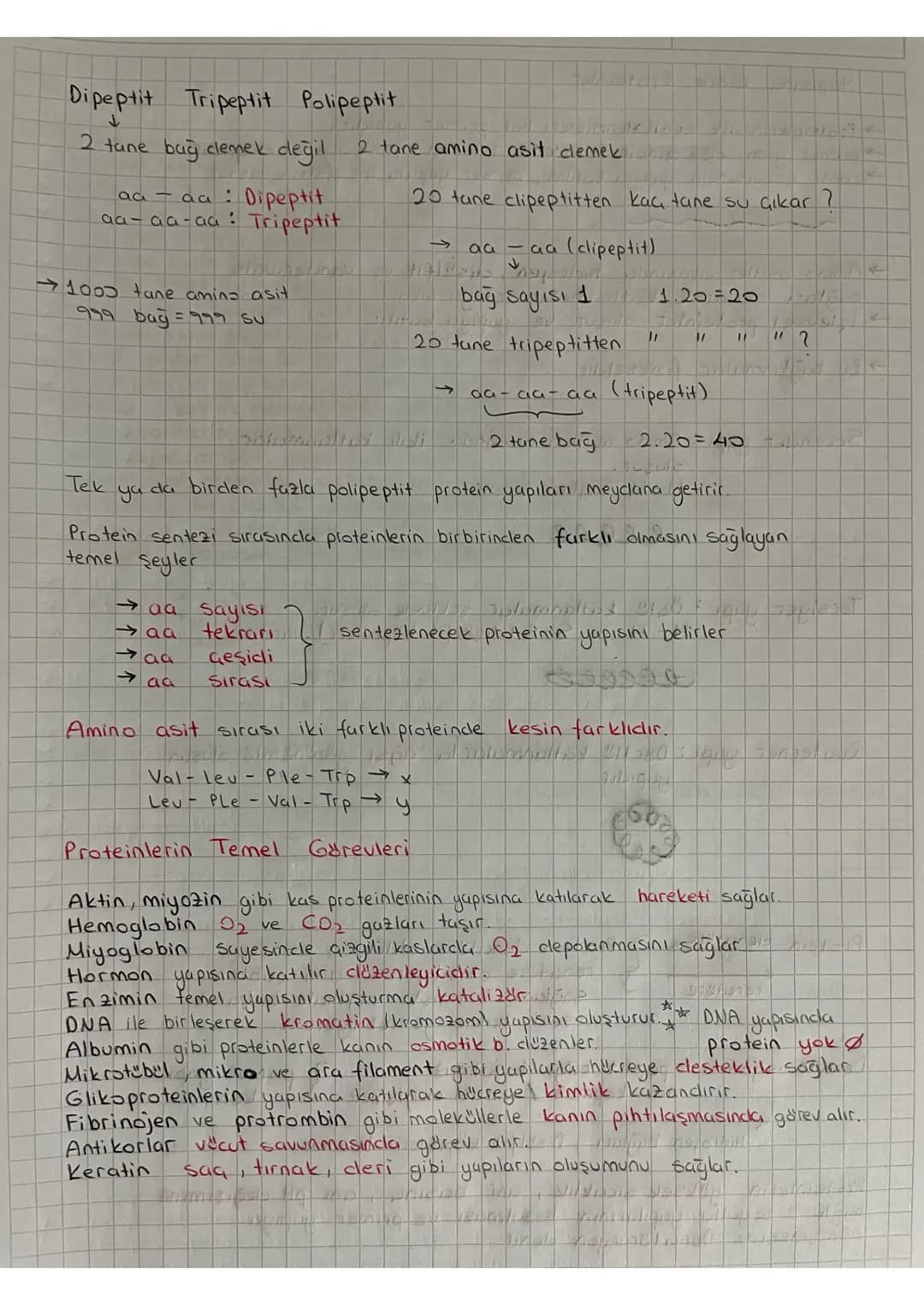 # Proteinler

Proteinler C. HID, N/S karbon, hidrojen, oksijen, azot stabil
yanına birde kükürt koyuyorum.

→3. dereceden enerji kaynağıdır.
