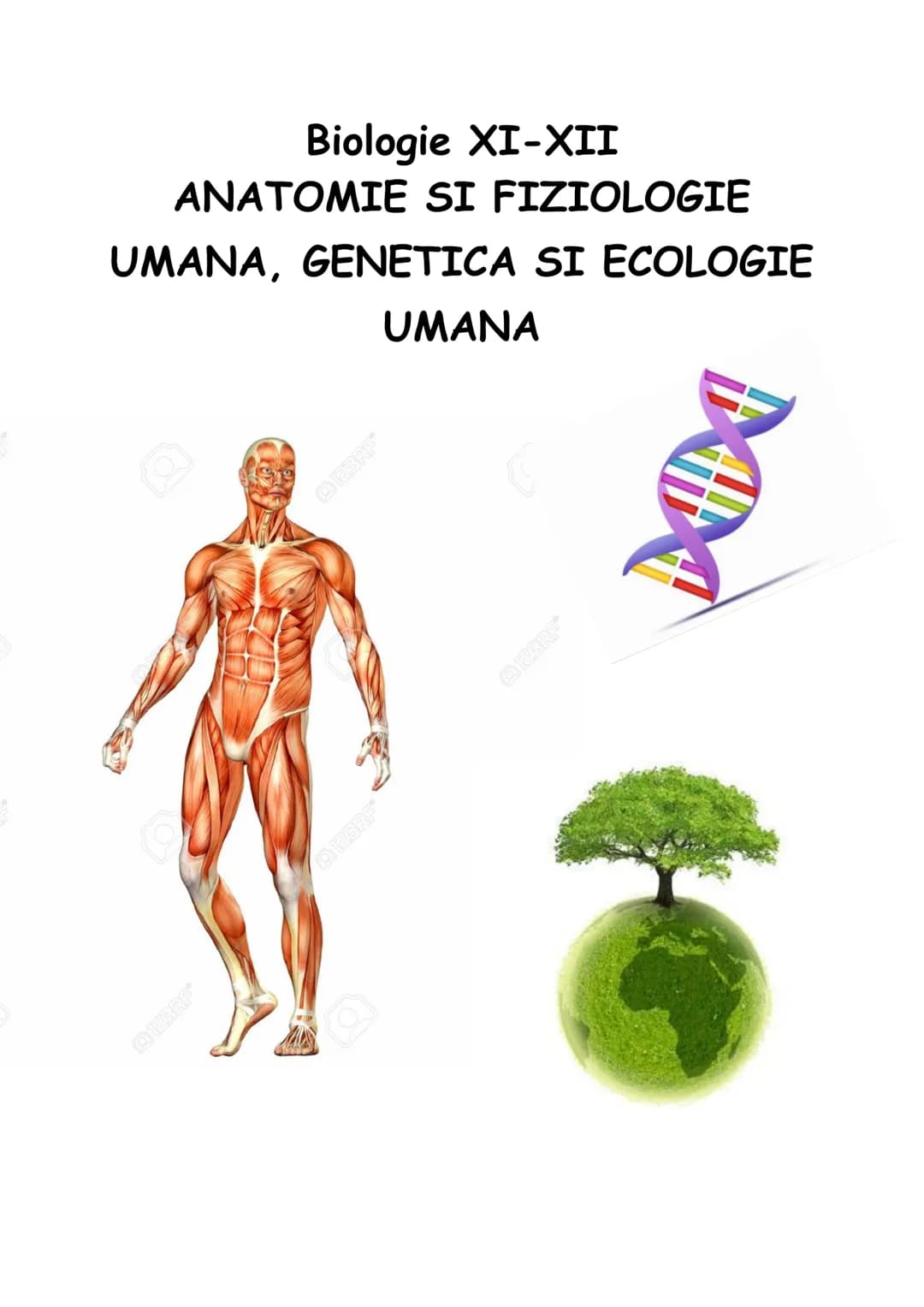# Biologie XI-XII

ANATOMIE SI FIZIOLOGIE

UMANA, GENETICA SI ECOLOGIE

UMANA # CAPITOLUL I. ALCATUIREA CORPULUI UMAN

SEGMENTELE CORPULUI U