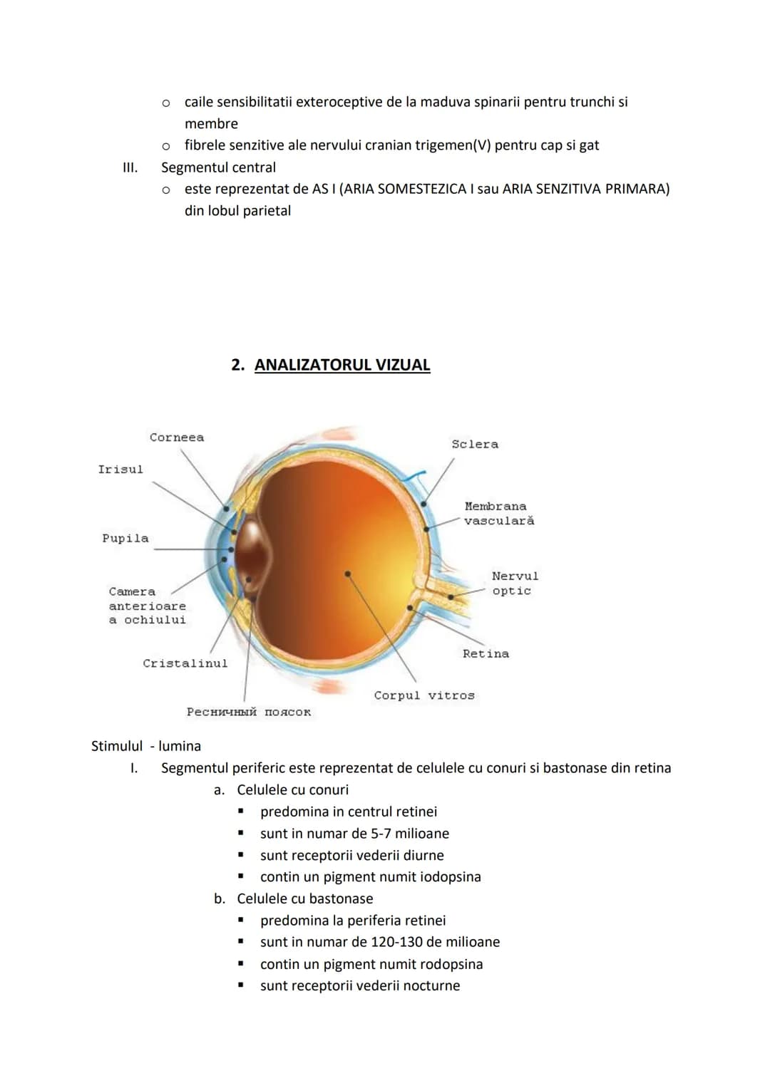 # Biologie XI-XII

ANATOMIE SI FIZIOLOGIE

UMANA, GENETICA SI ECOLOGIE

UMANA # CAPITOLUL I. ALCATUIREA CORPULUI UMAN

SEGMENTELE CORPULUI U