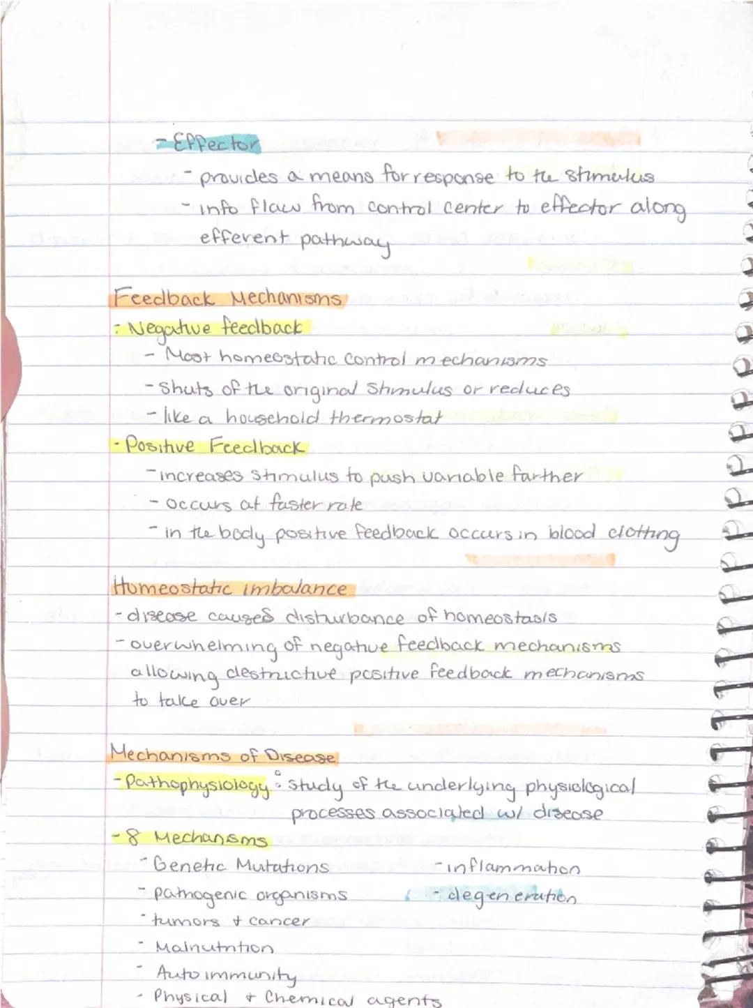 Ch 1 - The Human Body : The Orientation

8-26 Anatomy
-Study of the structure & shape of the body & Its parts.
-observation is used to see s