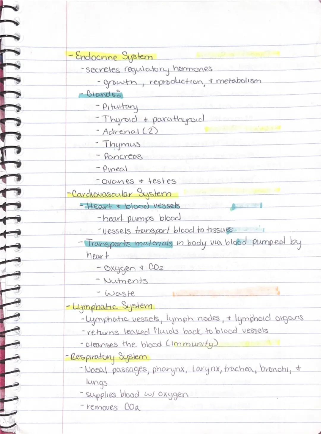 Ch 1 - The Human Body : The Orientation

8-26 Anatomy
-Study of the structure & shape of the body & Its parts.
-observation is used to see s