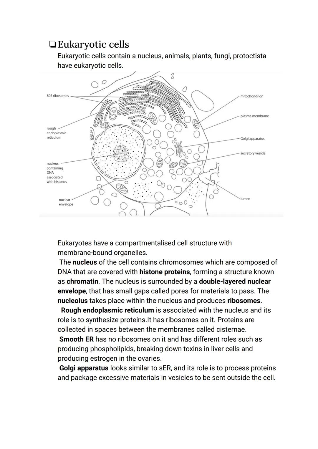 # CELL BIOLOGY 1 (SUMMARY)

## 1.1 Introduction to cells

The Cell Theory

The cell theory has three main principles: the cell is the smalle