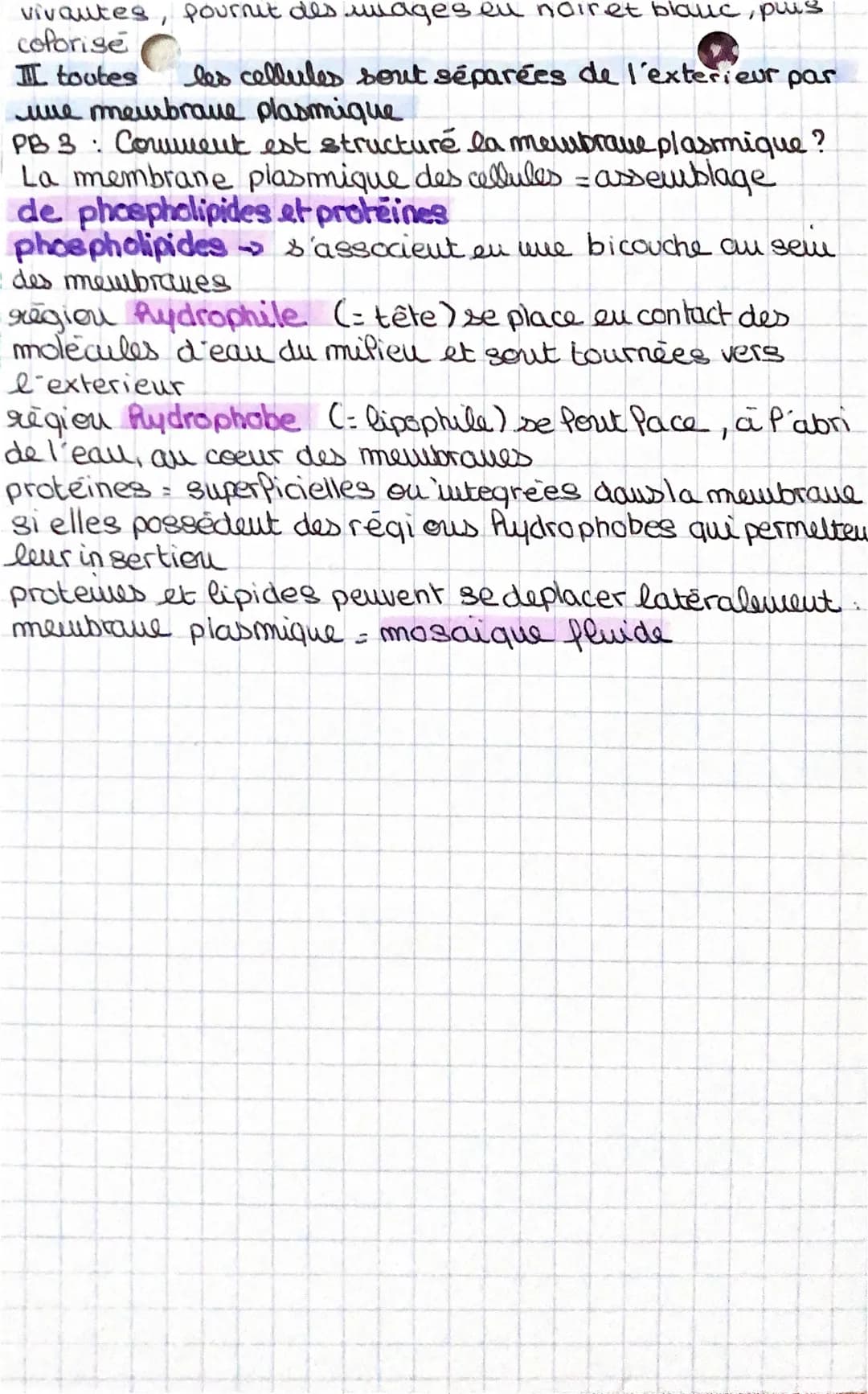 *X11

# SVT

Chapitre 3: llue structure couplexe : la cellule

I Des premières observations de cellules à la théorie
callulaire

PB1: Commen