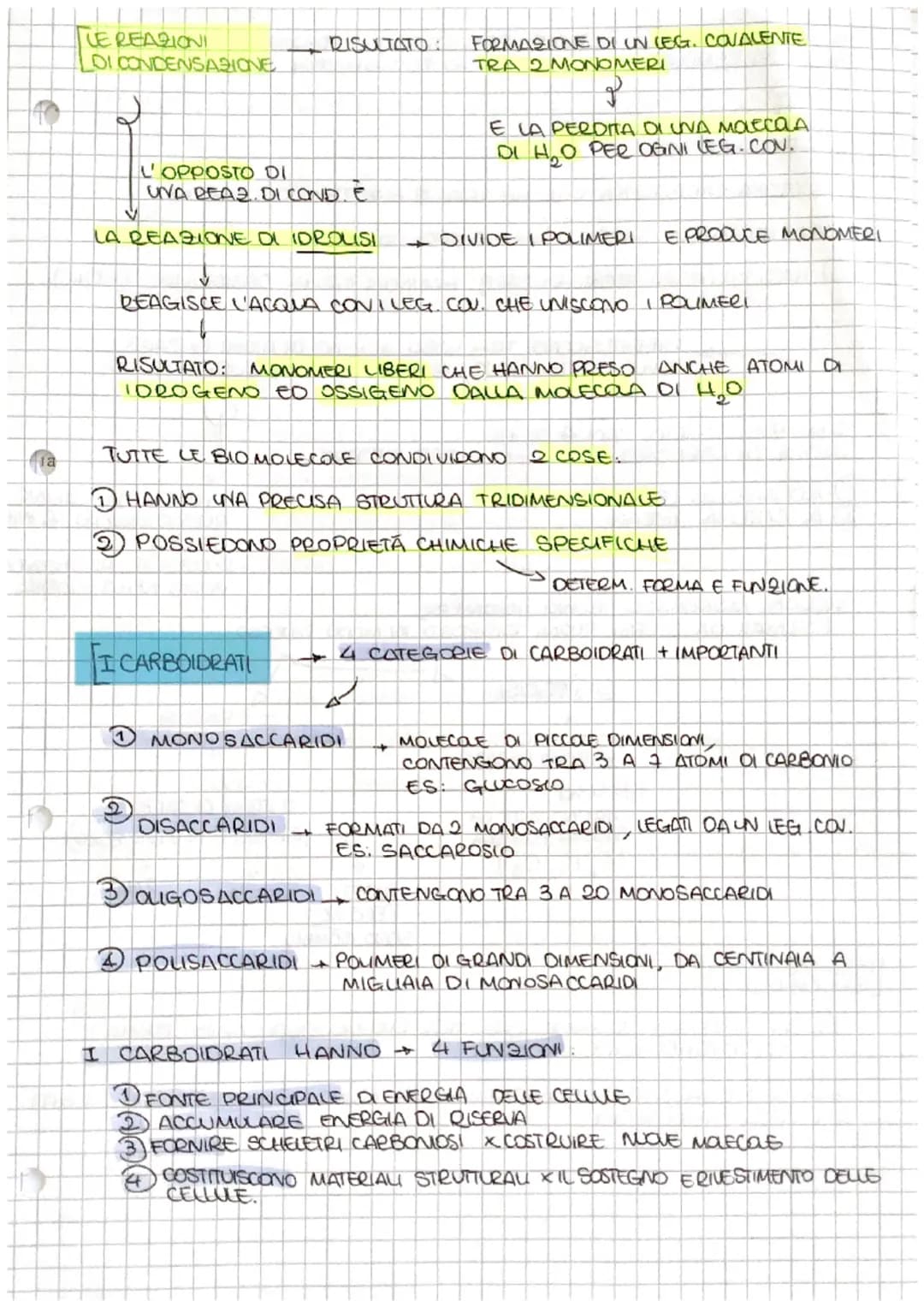# S

[ve

# Le BIOMOLECOLE

↓

NEGLI UMANI A

*   PROTEINE
*   CARBOIDRATI
*   LIPIDI
*   ACIDI NUCLEIA

SONO 4 TIPI DI

MOLECOLE

SOND

COM
